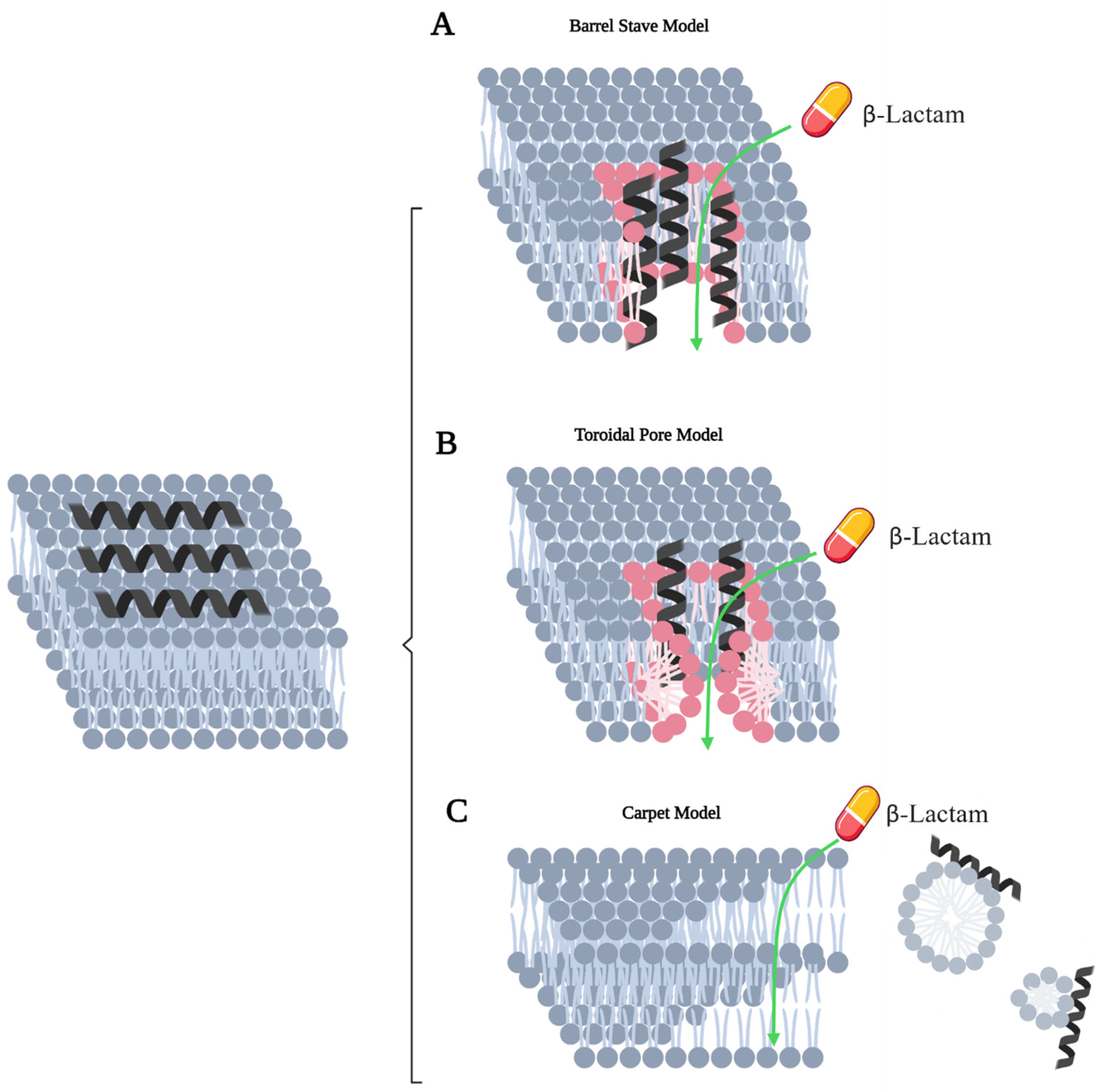Antibiotics 14 00526 g005