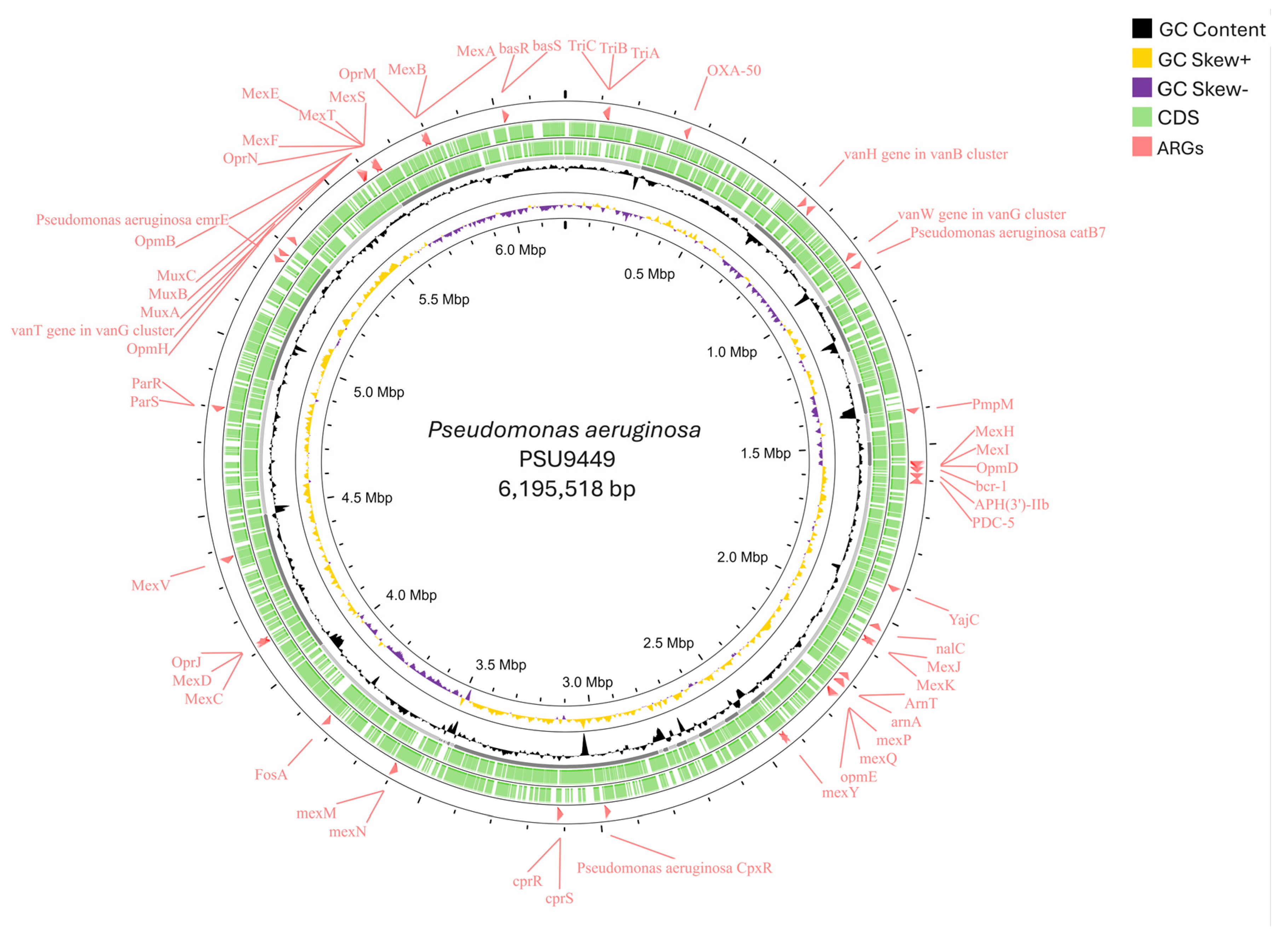 Antibiotics 14 00530 g001 Antibiotics 14 00530 g001
