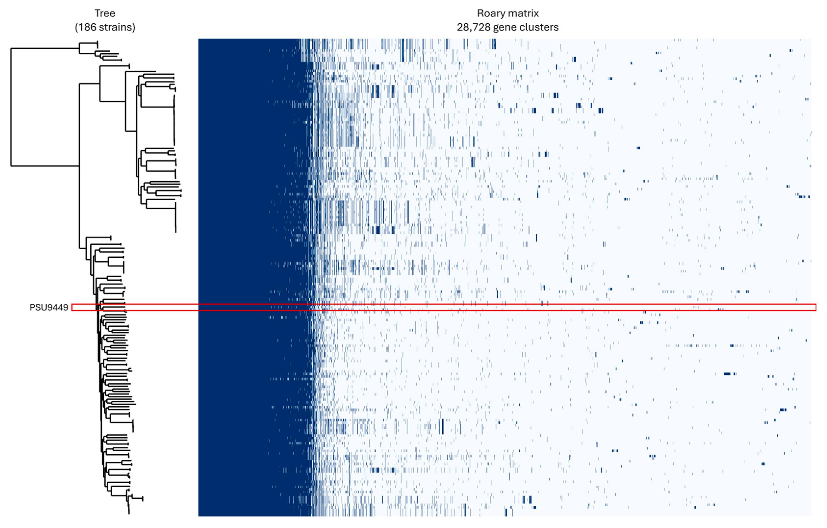Antibiotics 14 00530 g004 Antibiotics 14 00530 g004