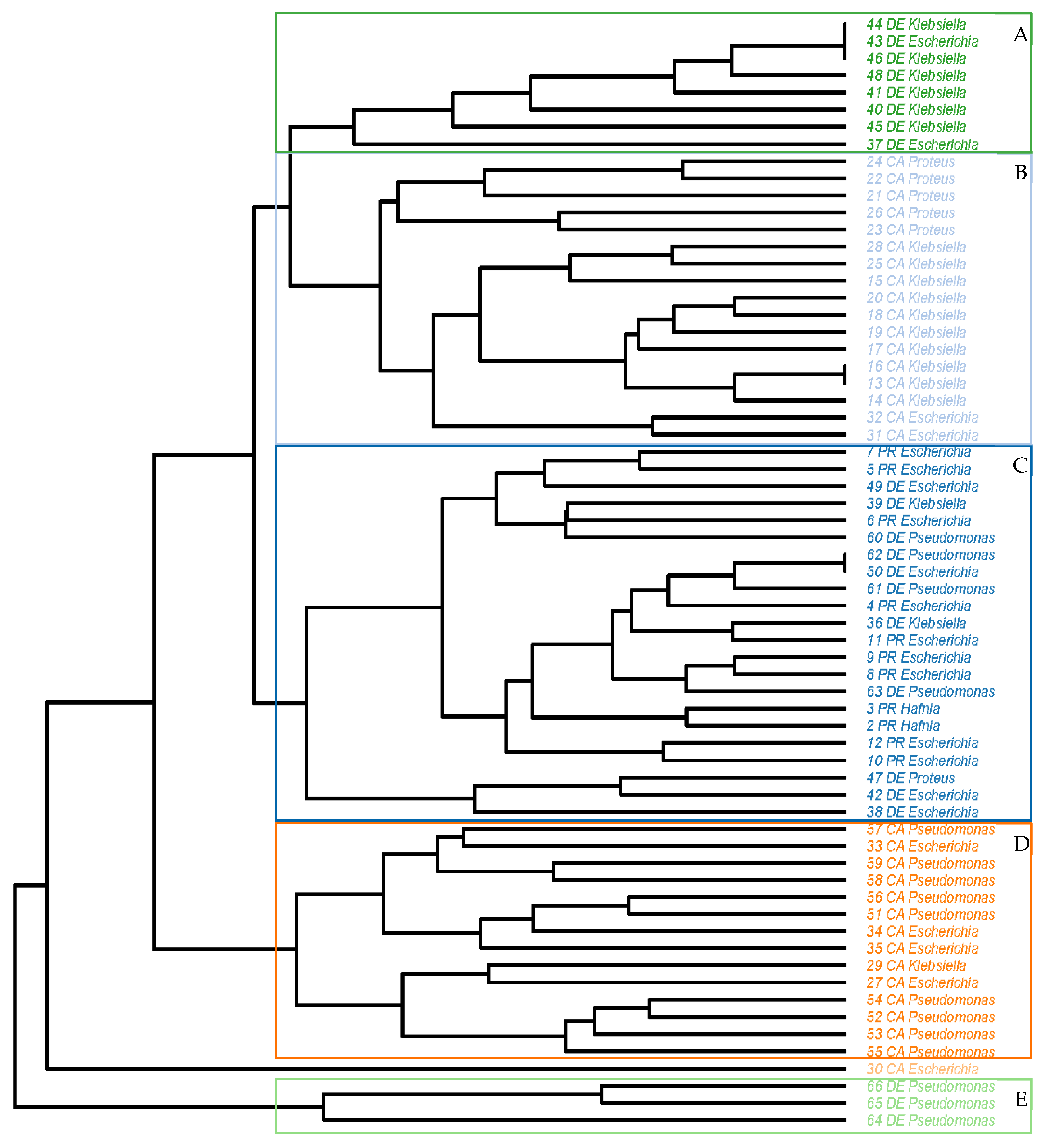 Antibiotics 14 00540 g007