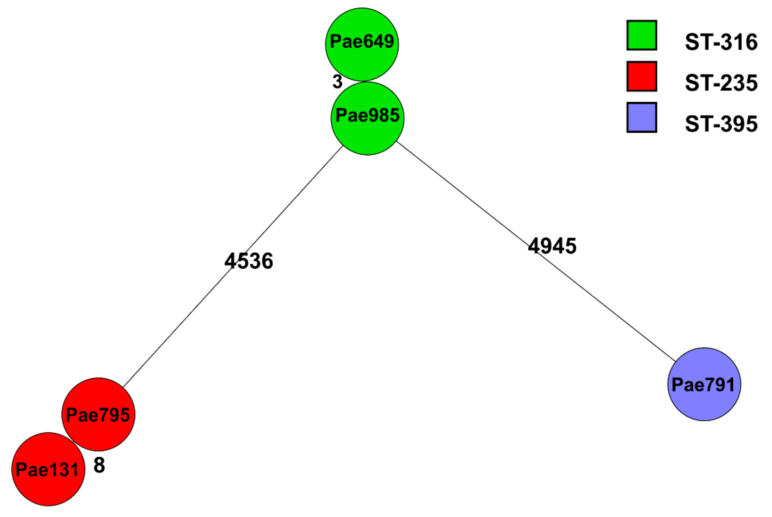 Antibiotics 14 00542 g003