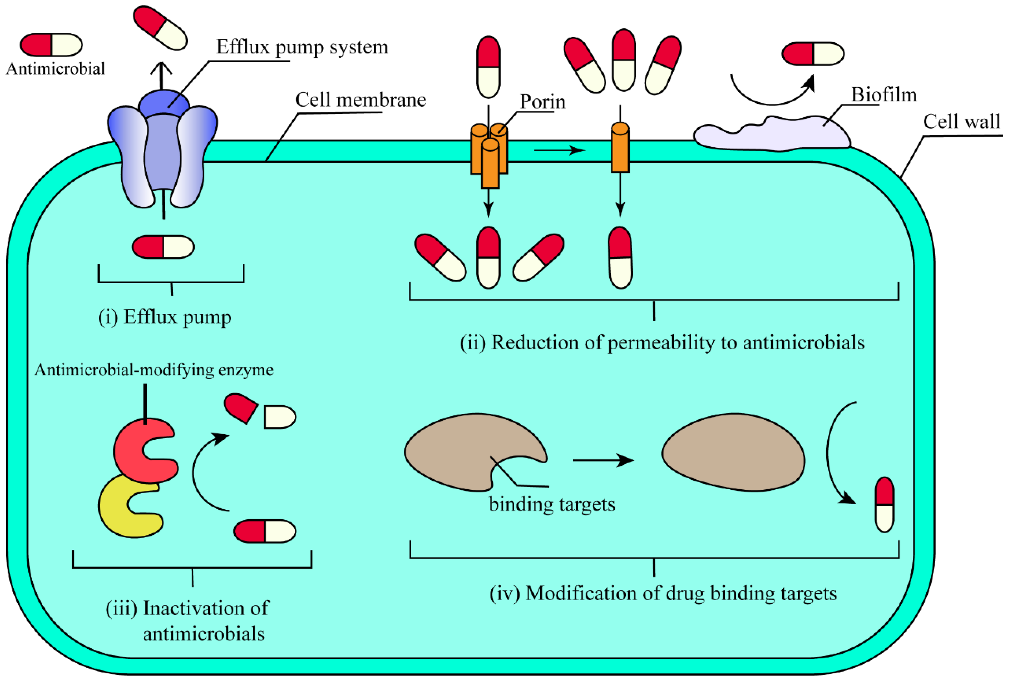 Antibiotics 14 00543 g001 Antibiotics 14 00543 g001