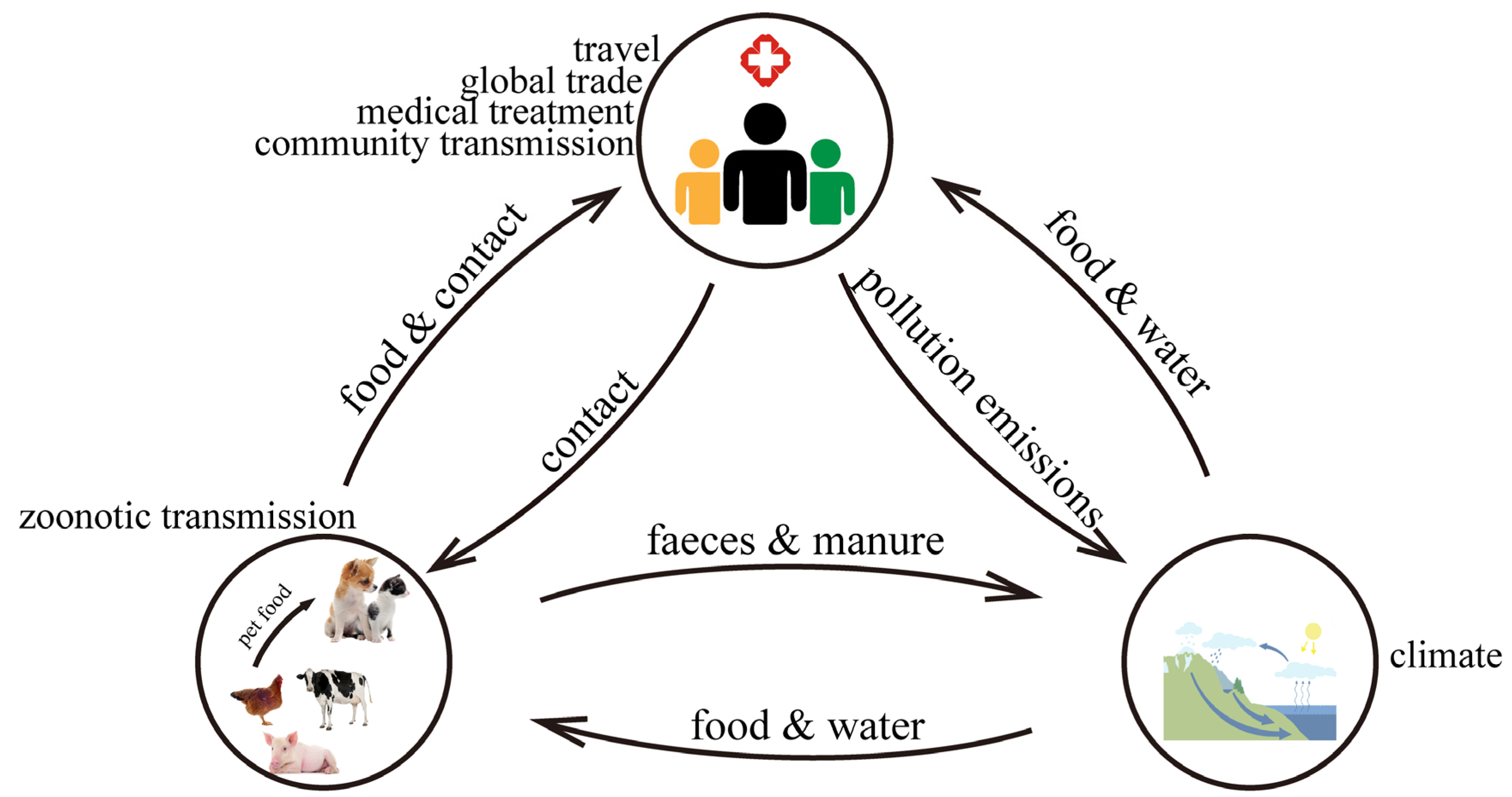 Antibiotics 14 00543 g002 Antibiotics 14 00543 g002