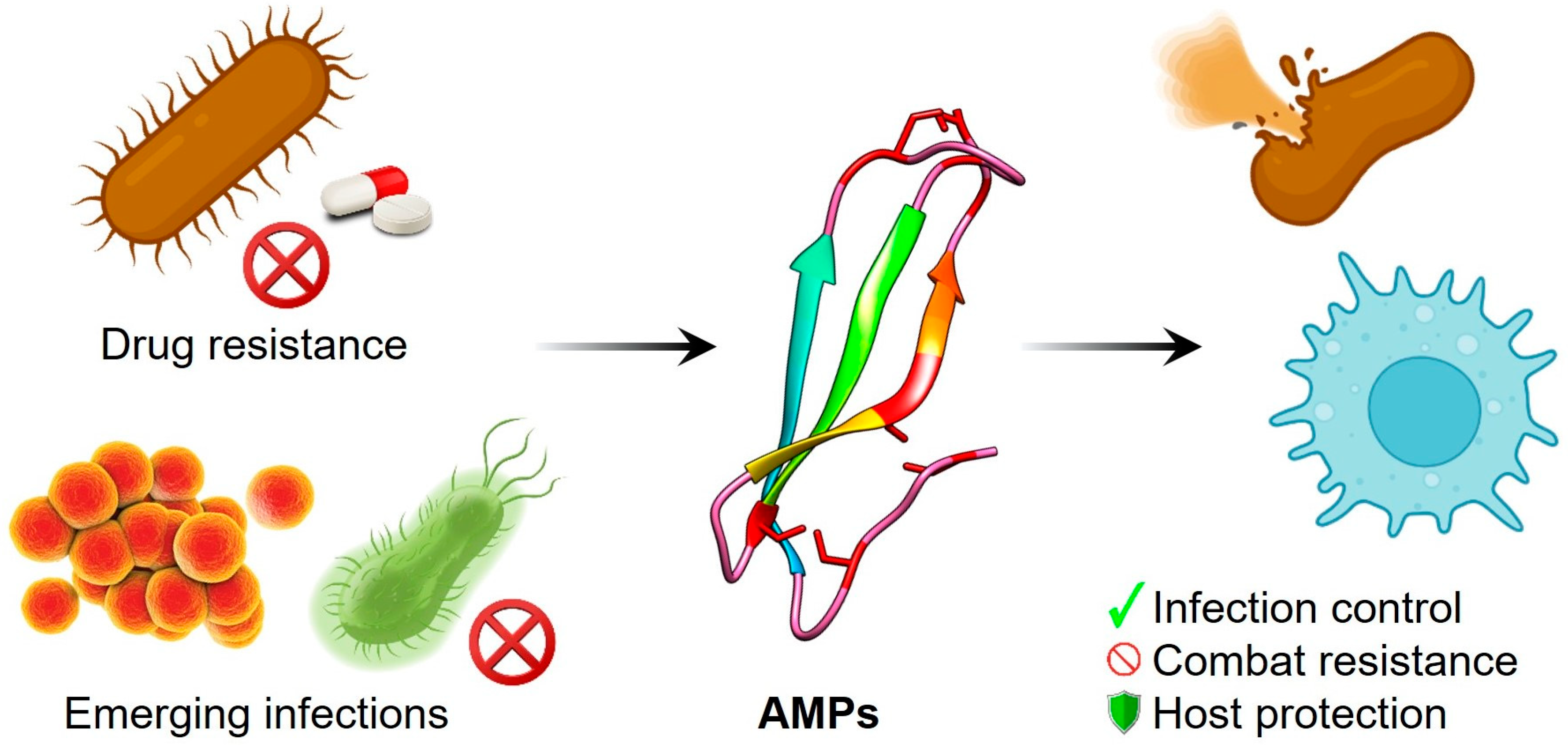 Antibiotics 14 00546 g001