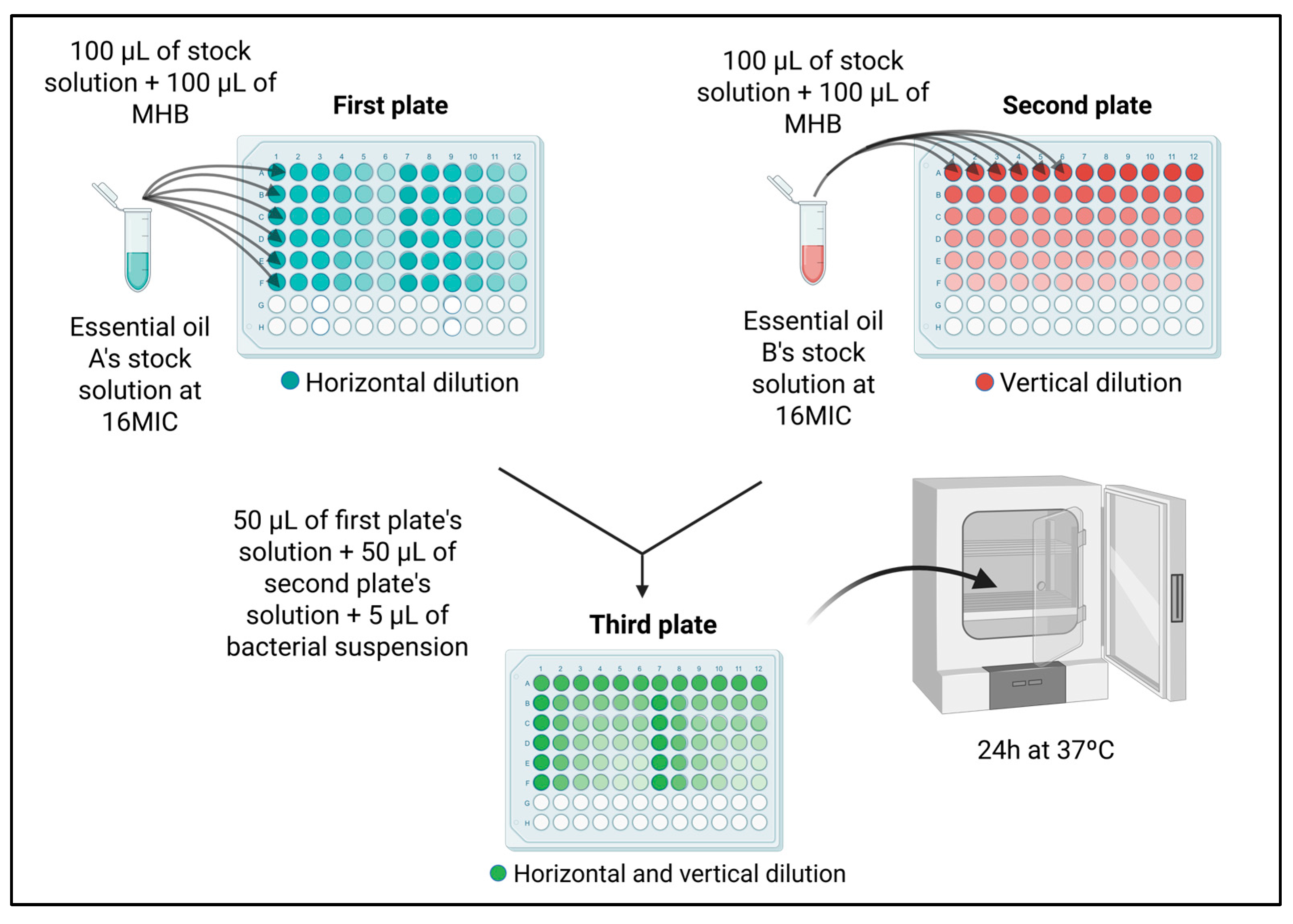 Antibiotics 14 00552 g005