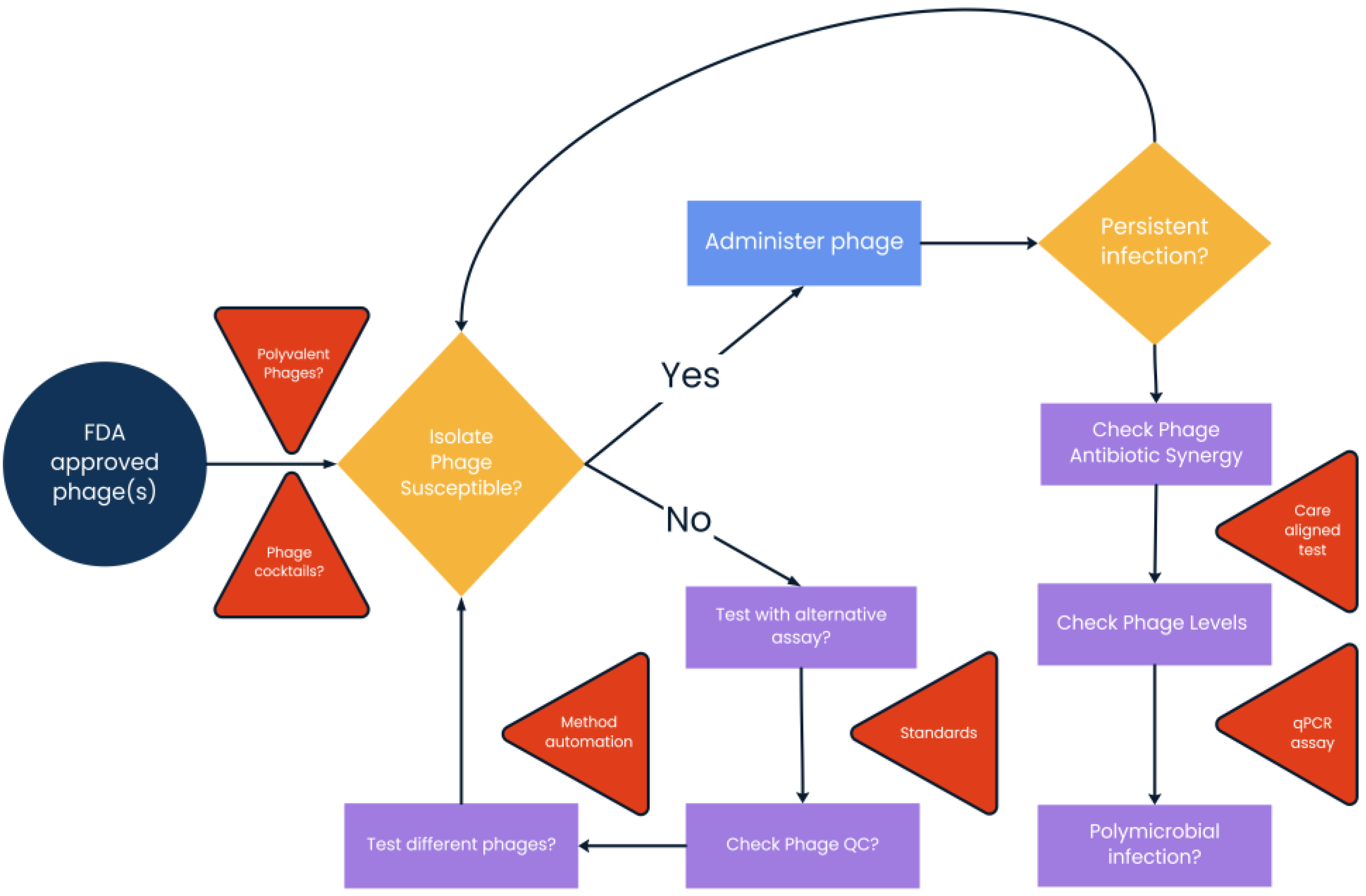 Antibiotics 14 00553 g001