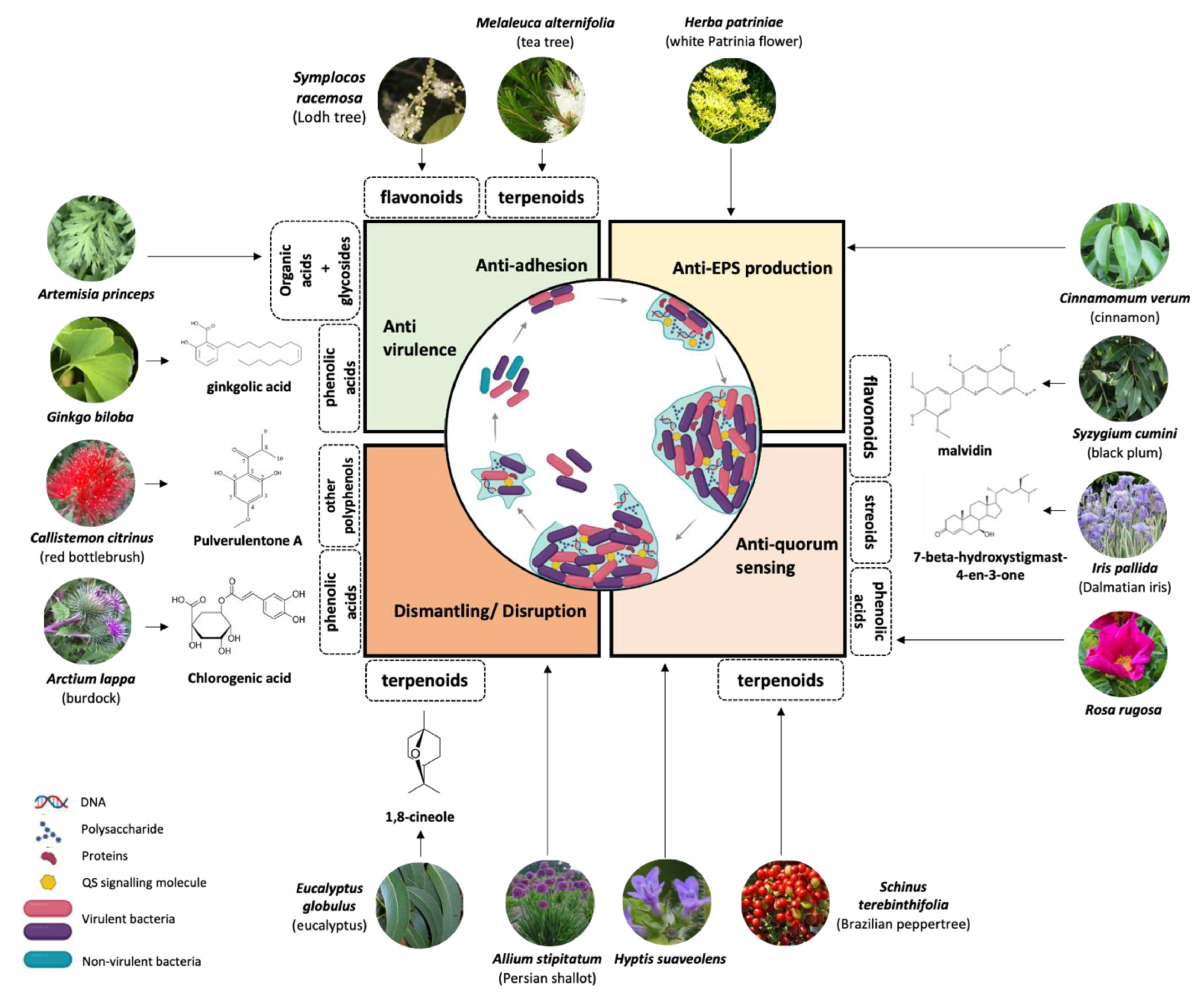 Antibiotics 14 00555 g003