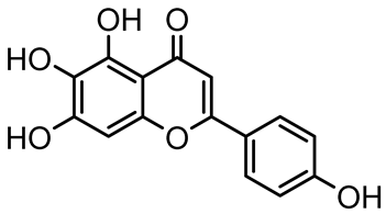 Antibiotics 14 00555 i009