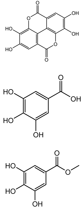 Antibiotics 14 00555 i027a