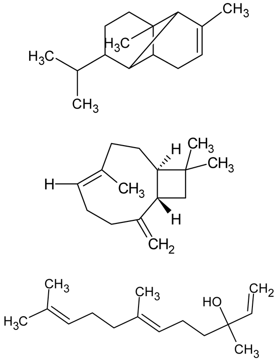 Antibiotics 14 00555 i028