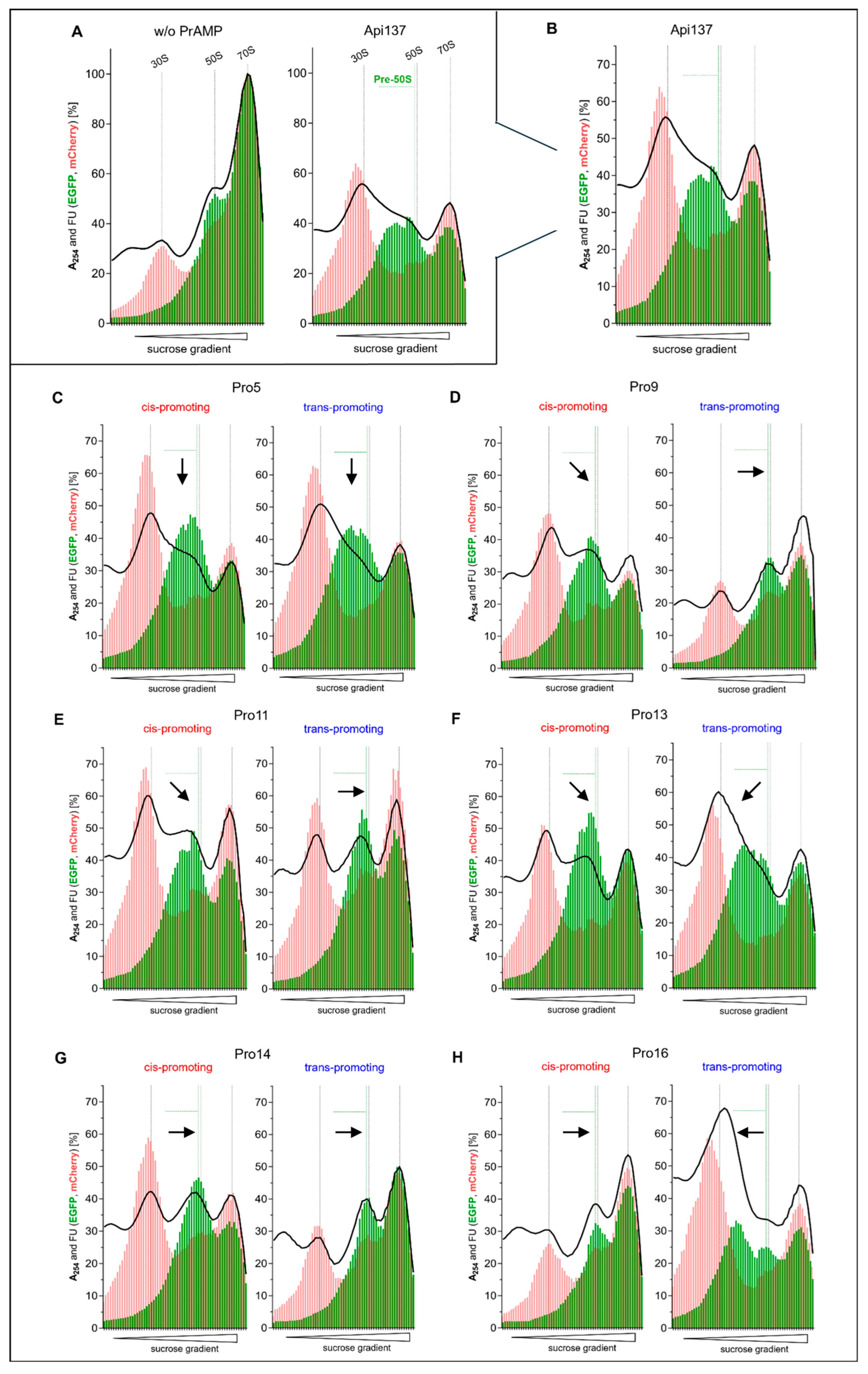 Antibiotics 14 00566 g004