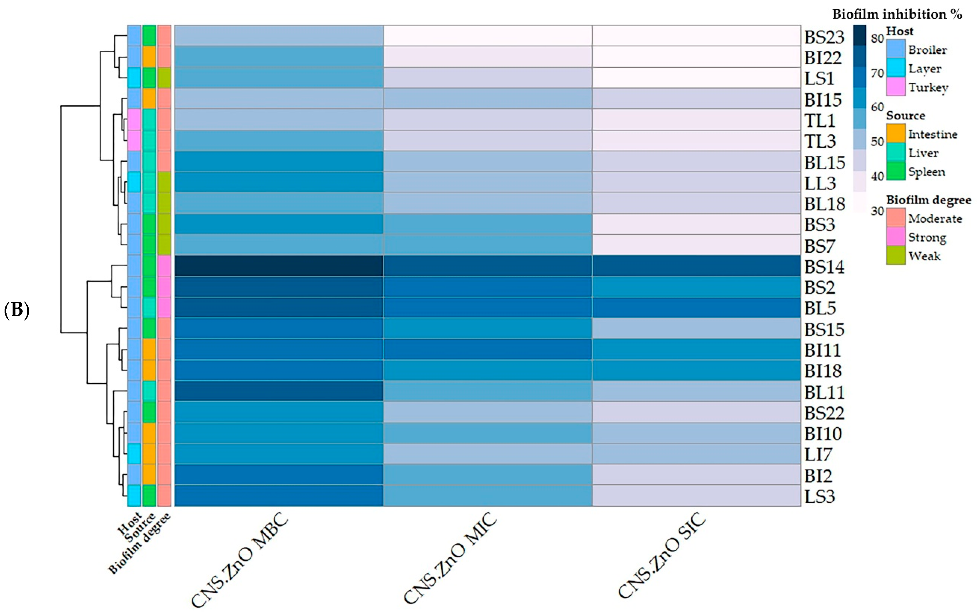 Antibiotics 14 00575 g006b