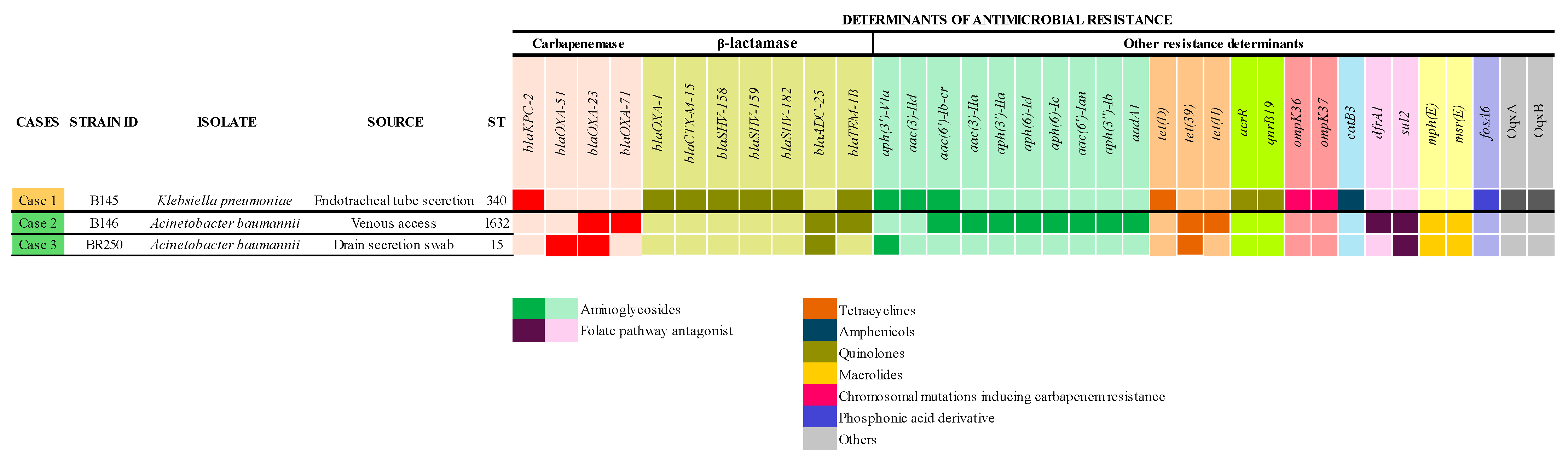 Antibiotics 14 00584 g001