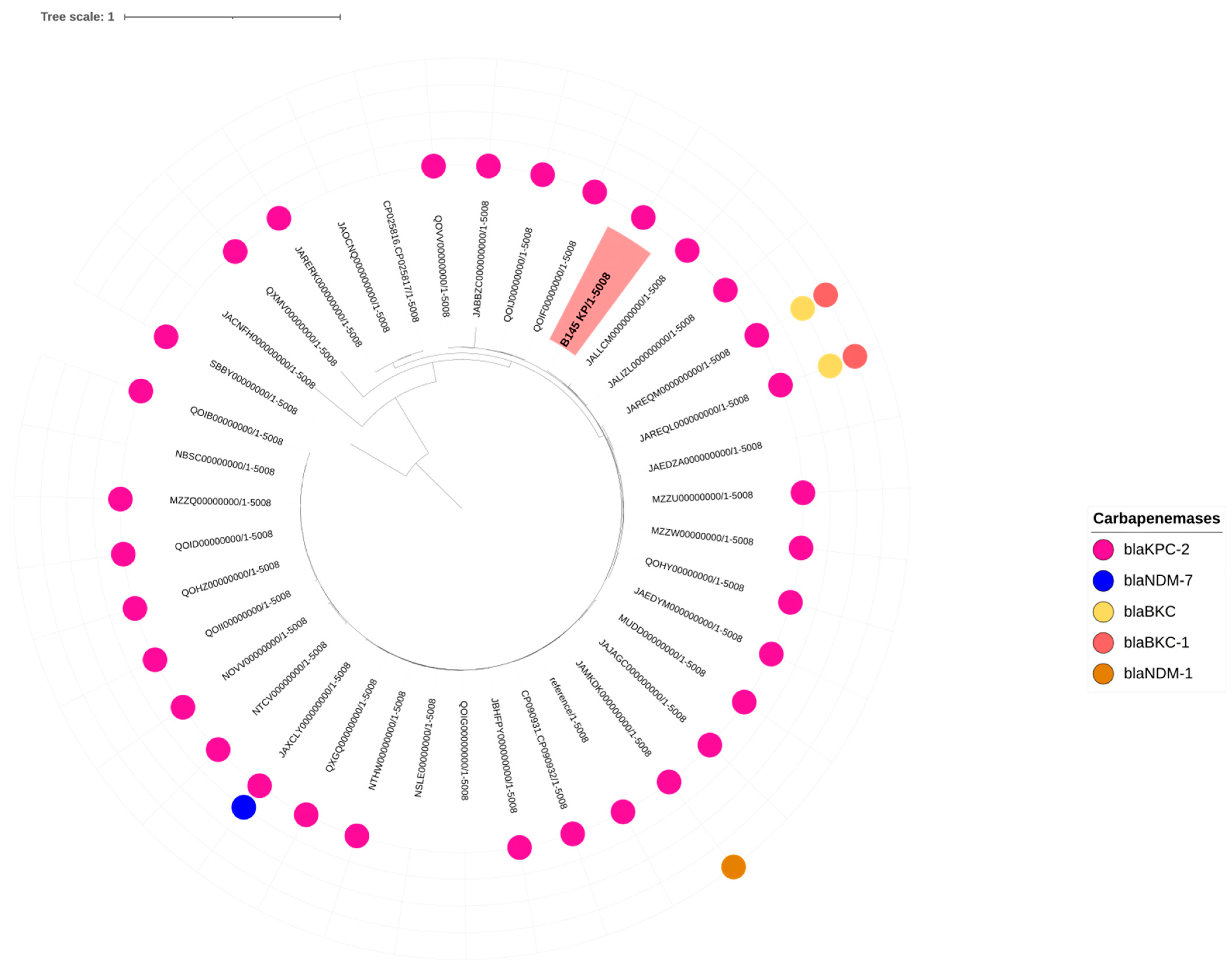 Antibiotics 14 00584 g002