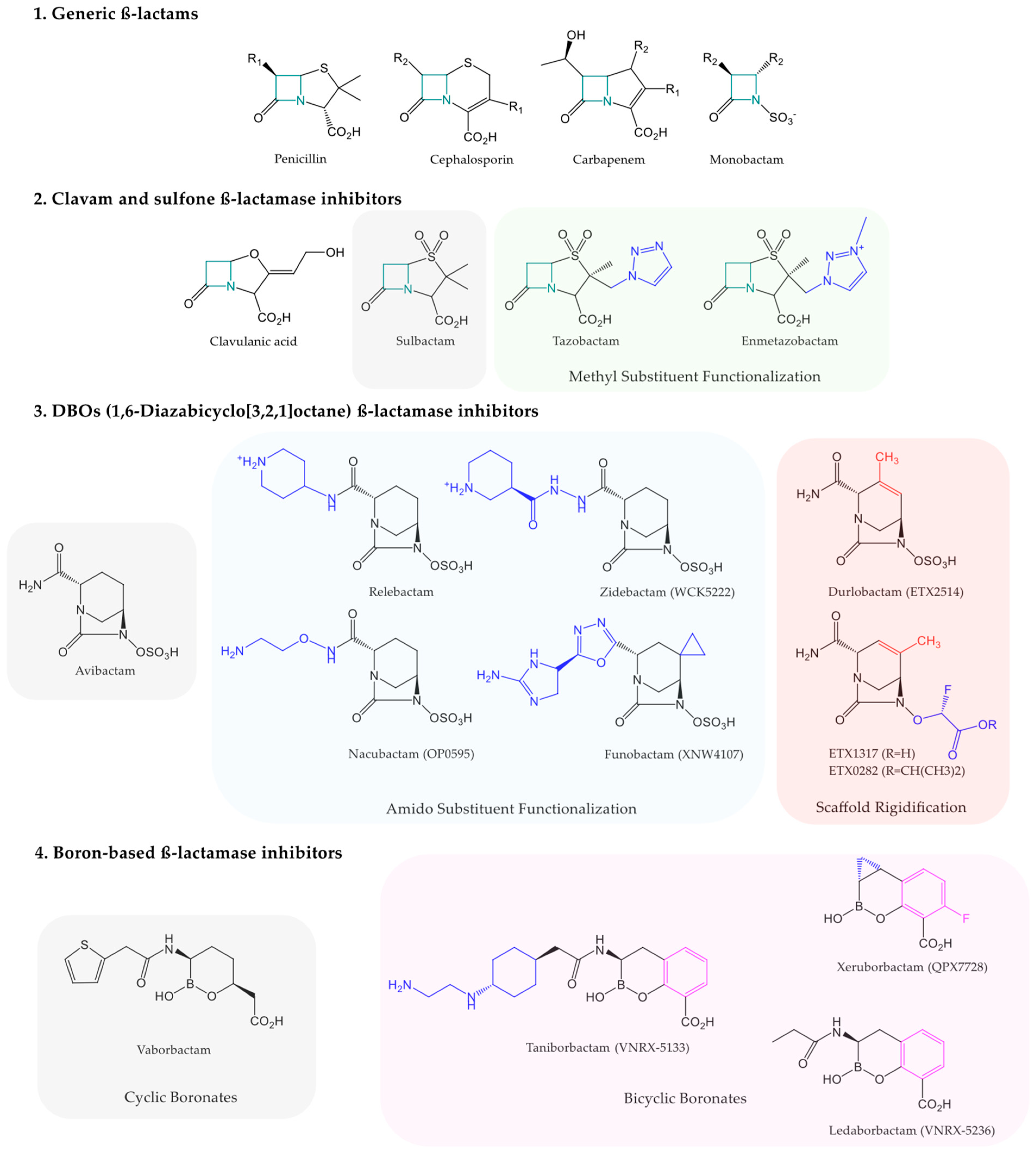 Antibiotics 14 00587 g001