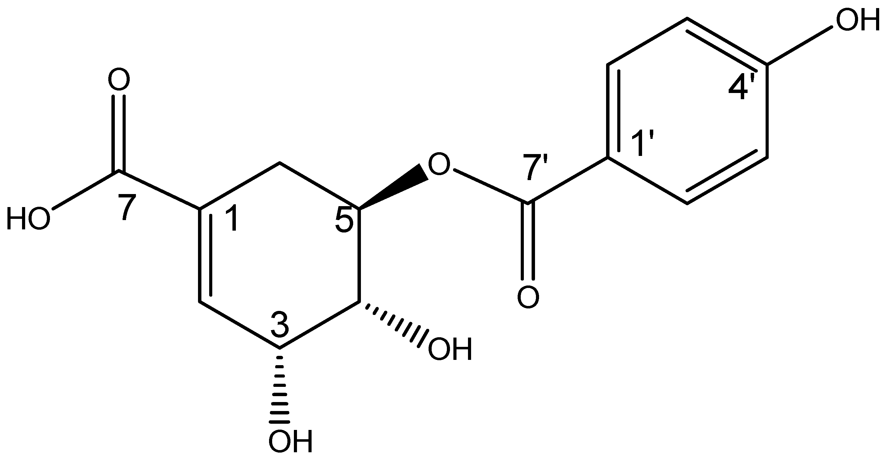 Antibiotics 14 00591 g003