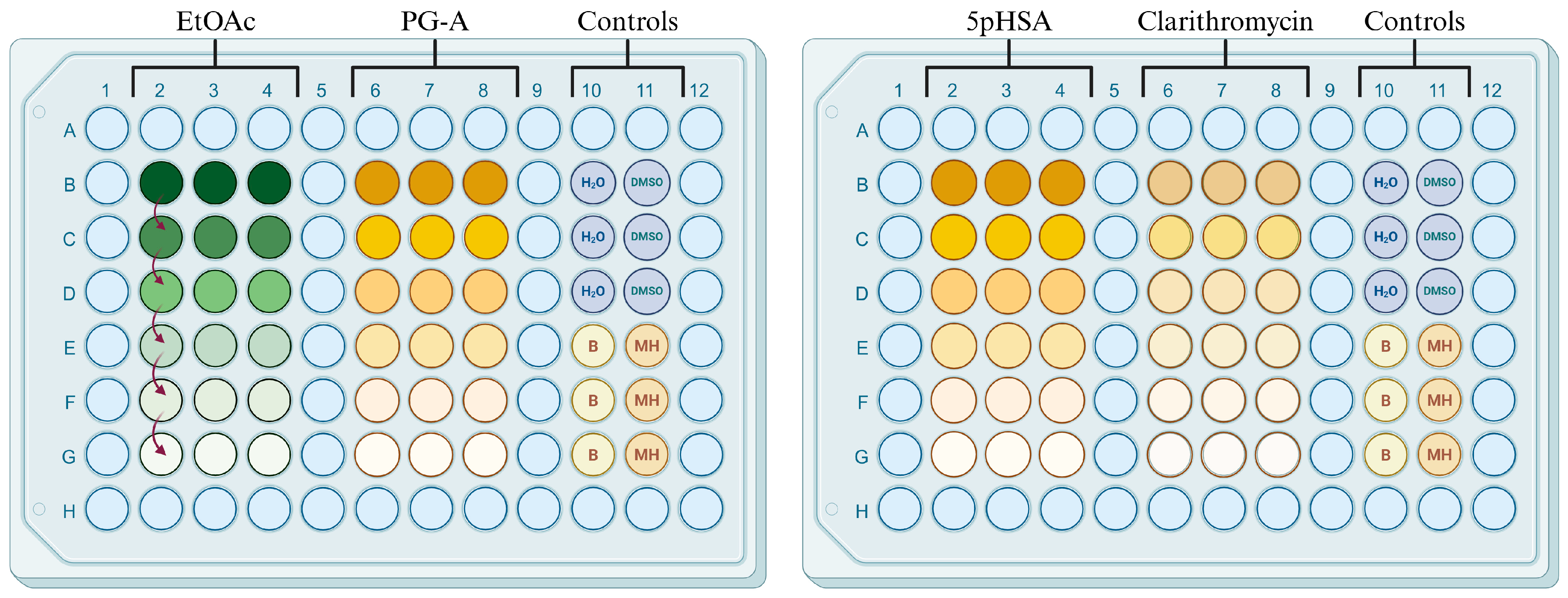Antibiotics 14 00591 g005