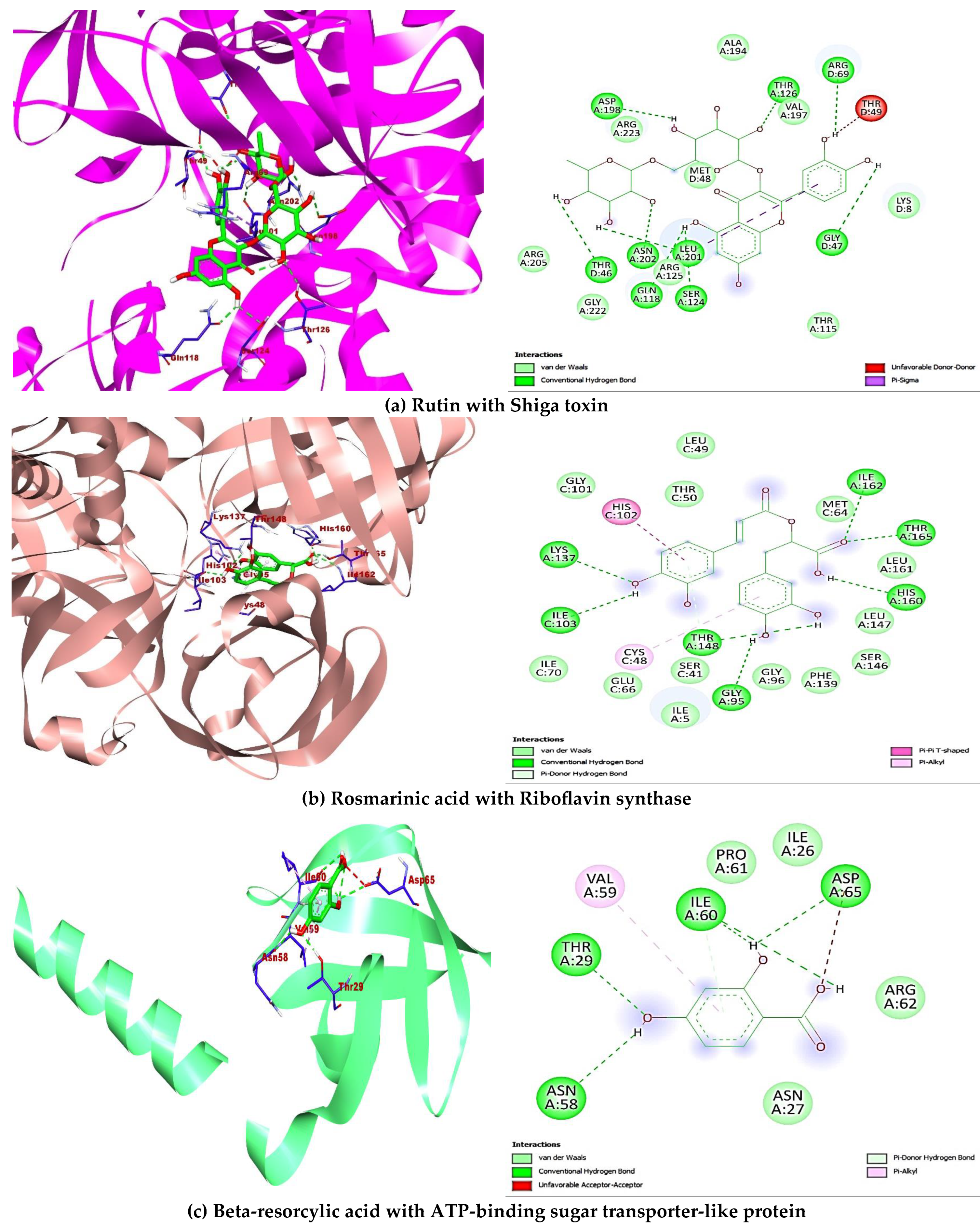 Antibiotics 14 00592 g004a Antibiotics 14 00592 g004a