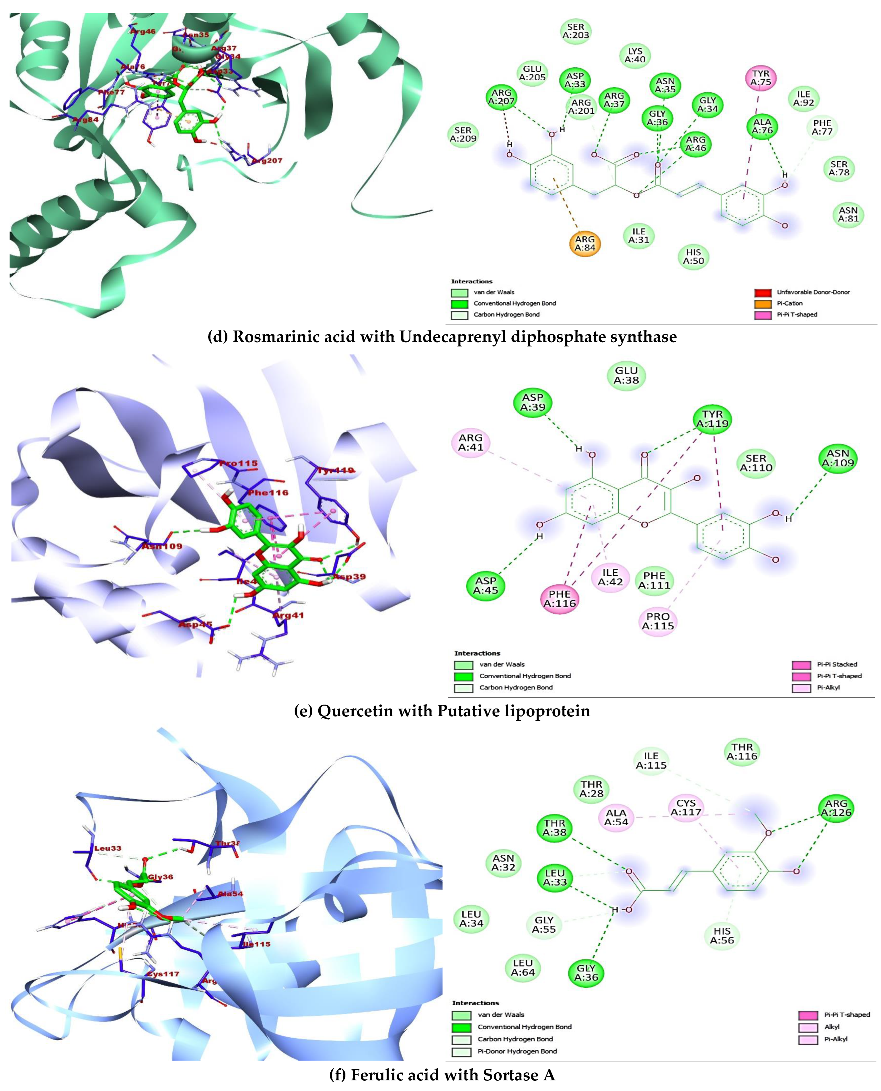 Antibiotics 14 00592 g004b Antibiotics 14 00592 g004b