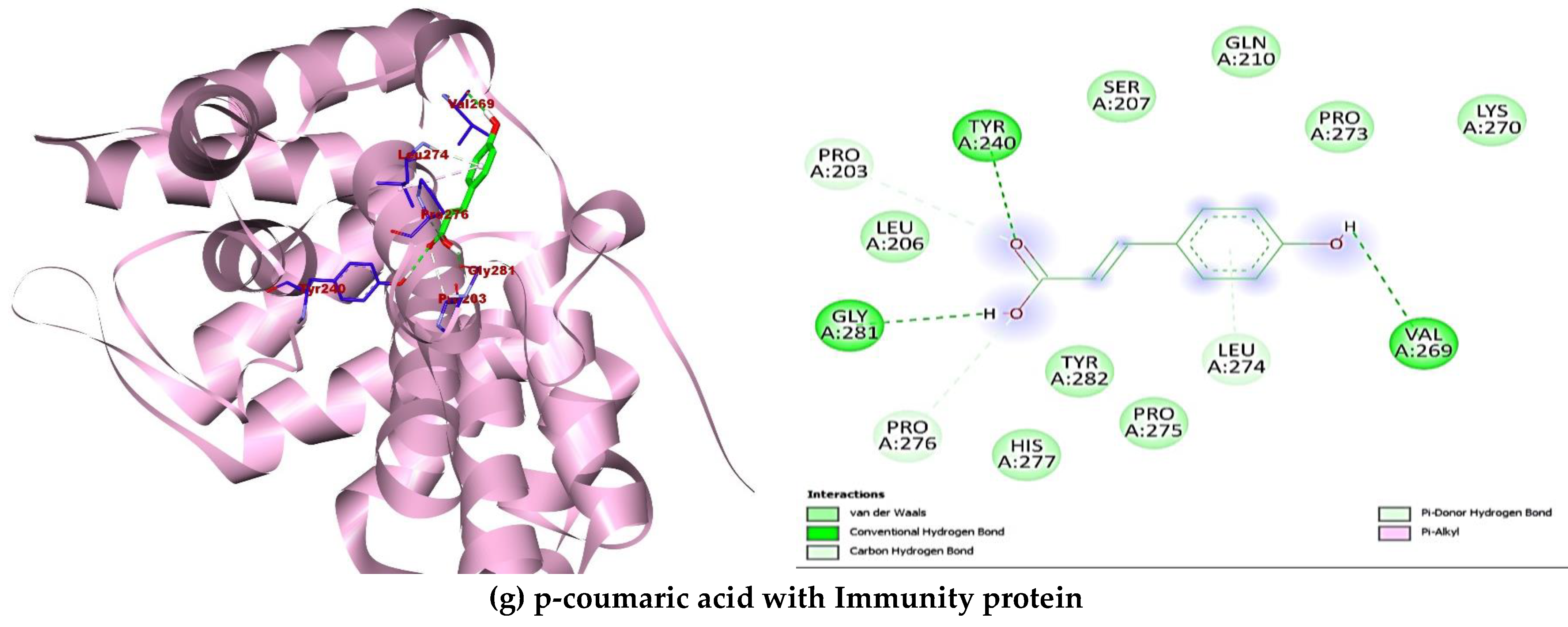 Antibiotics 14 00592 g004c Antibiotics 14 00592 g004c