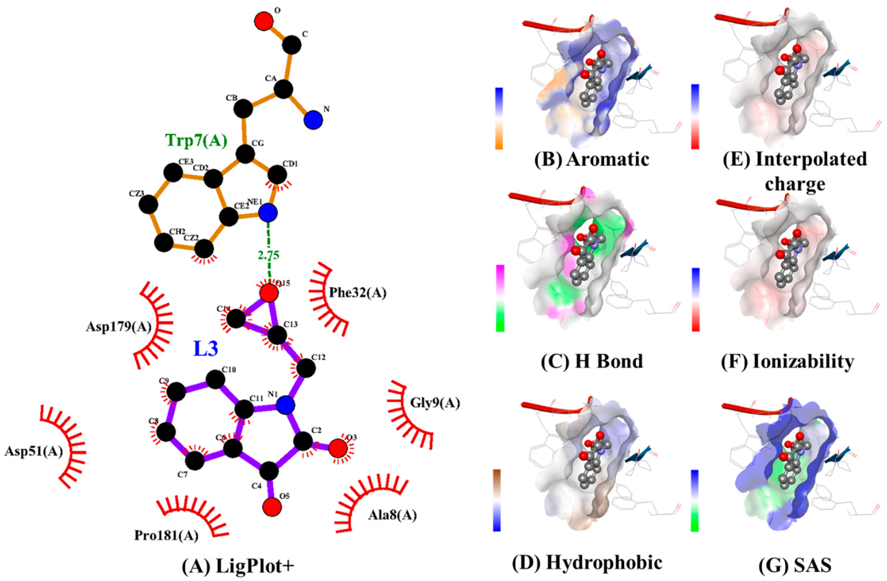Antibiotics 14 00595 g005 Antibiotics 14 00595 g005