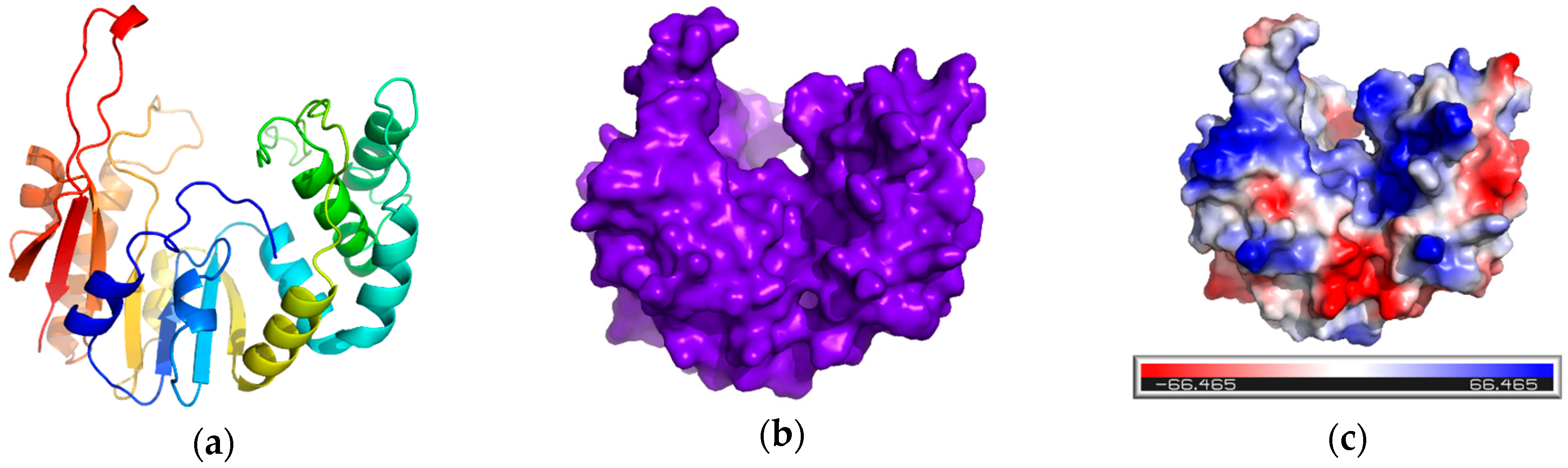 Antibiotics 14 00595 g007 Antibiotics 14 00595 g007