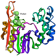 Antibiotics 14 00595 i003 Antibiotics 14 00595 i003