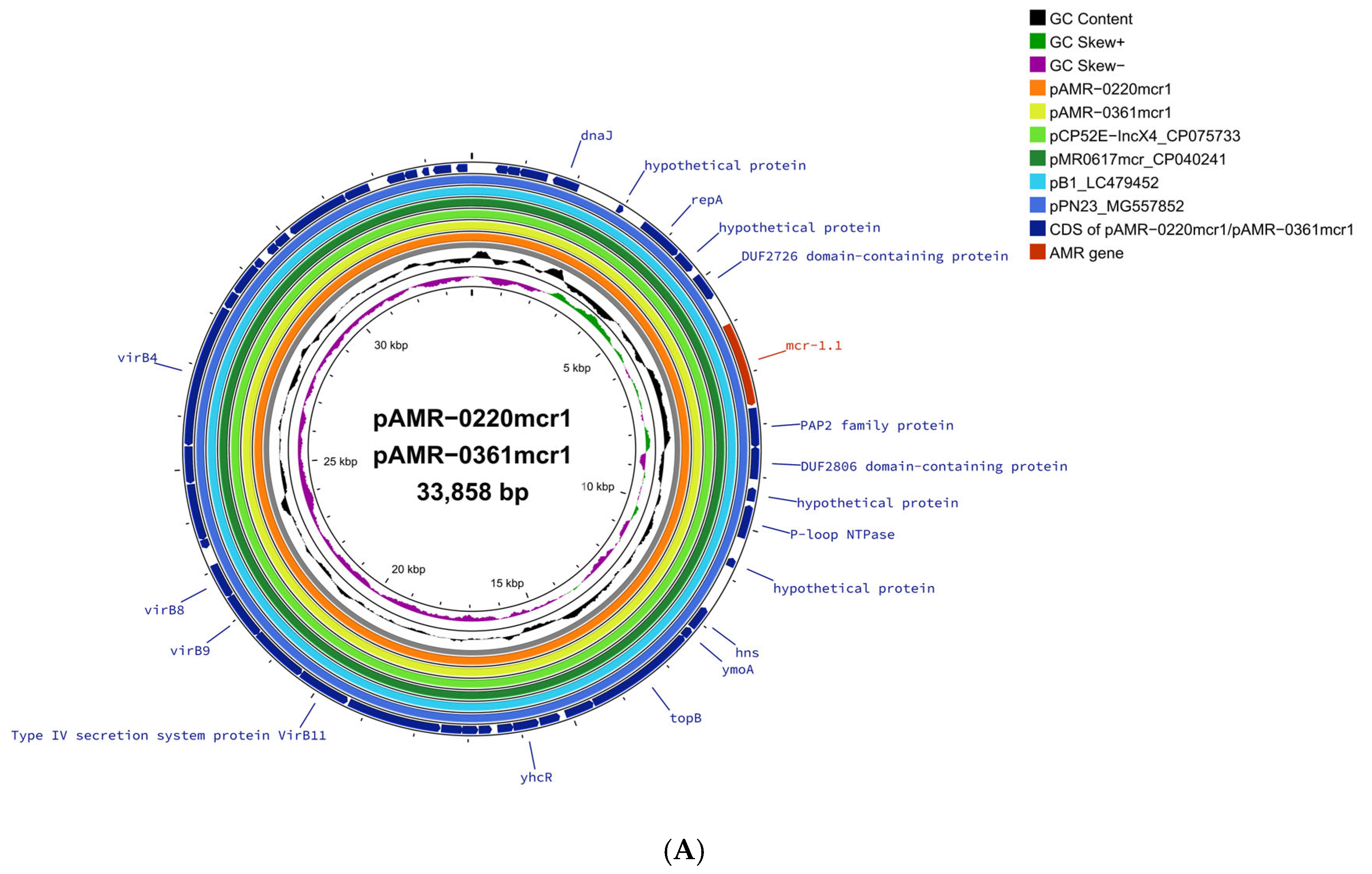 Antibiotics 14 00596 g001a
