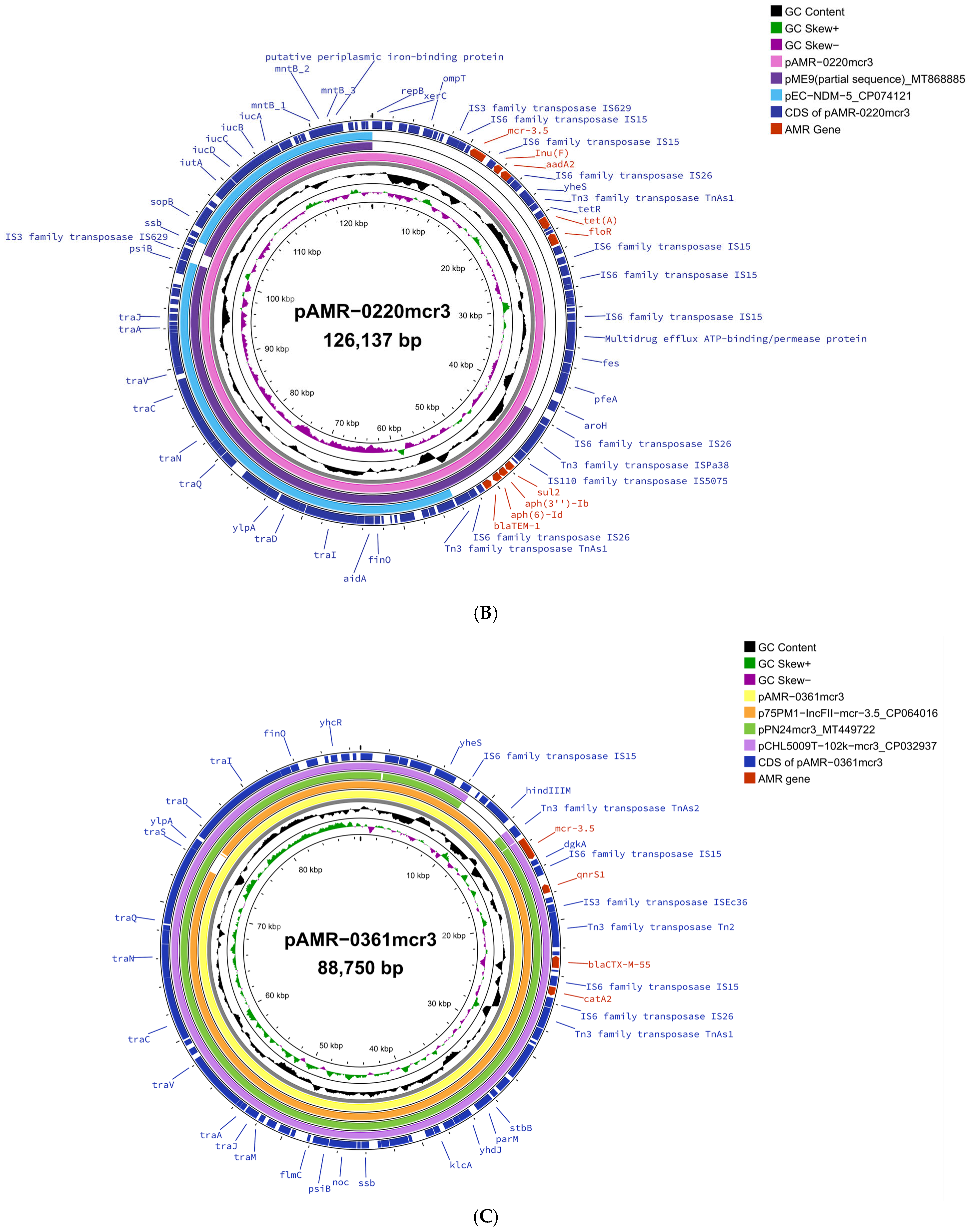 Antibiotics 14 00596 g001b