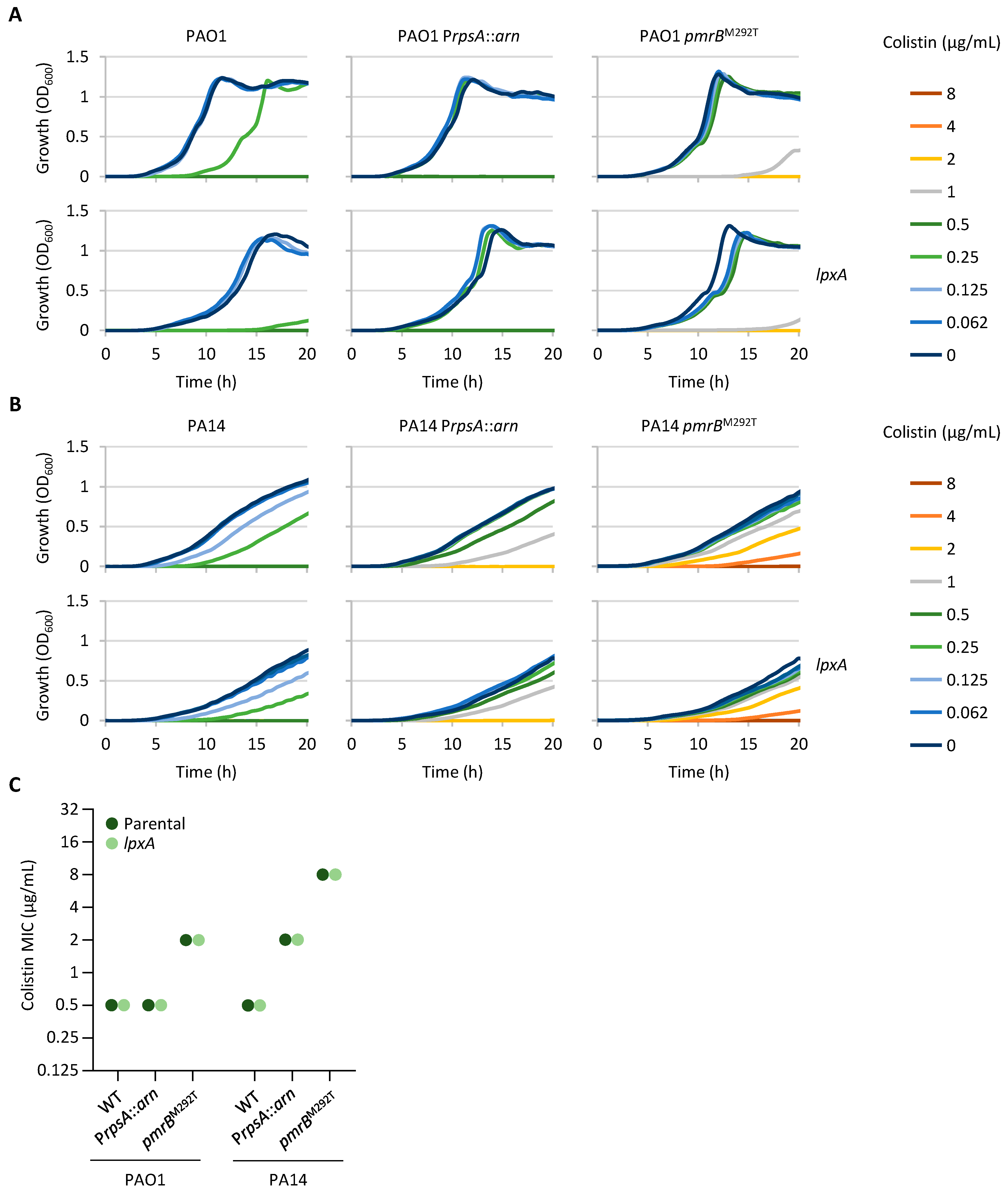 Antibiotics 14 00601 g003 Antibiotics 14 00601 g003