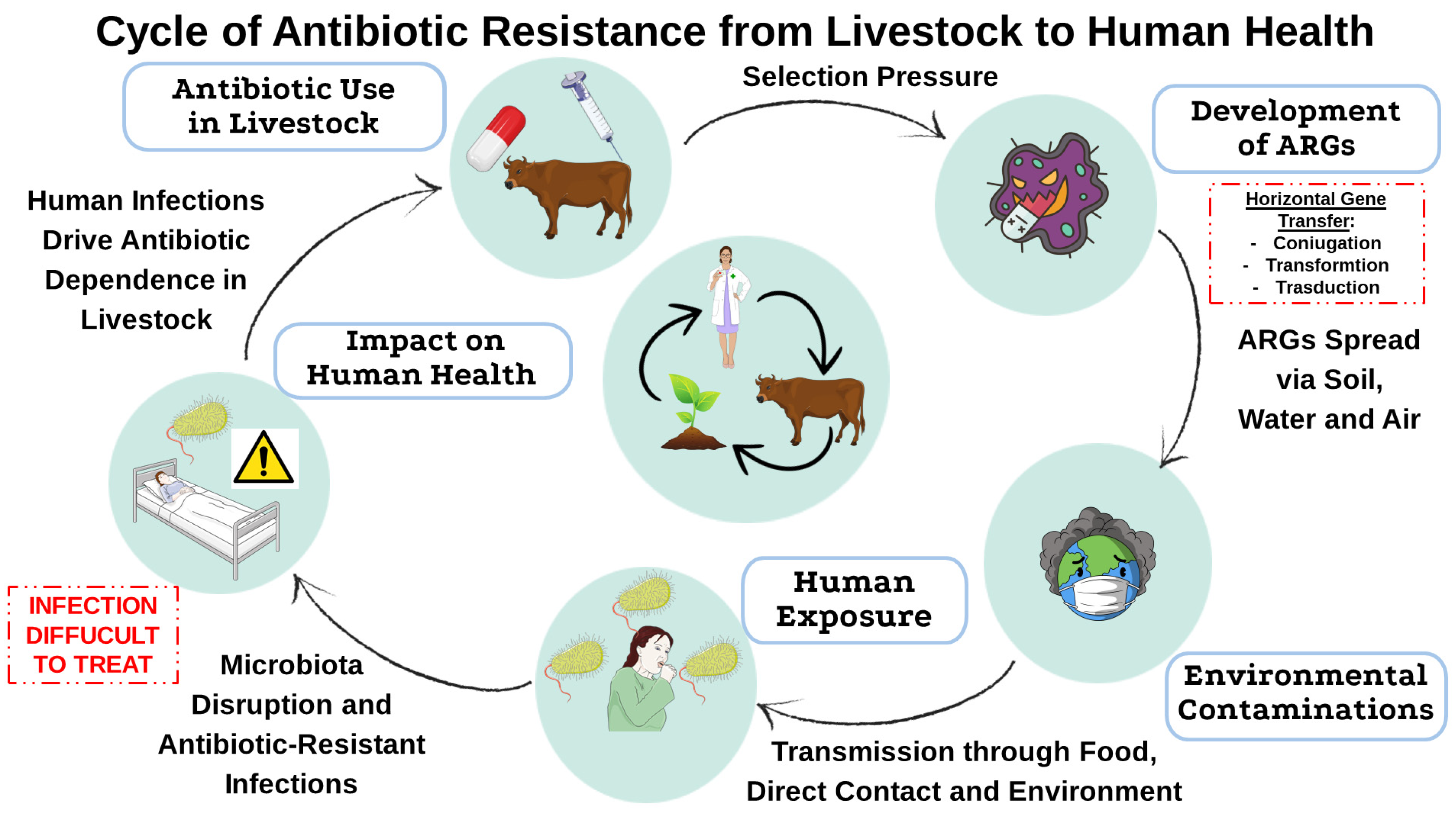 Antibiotics 14 00608 g001 Antibiotics 14 00608 g001