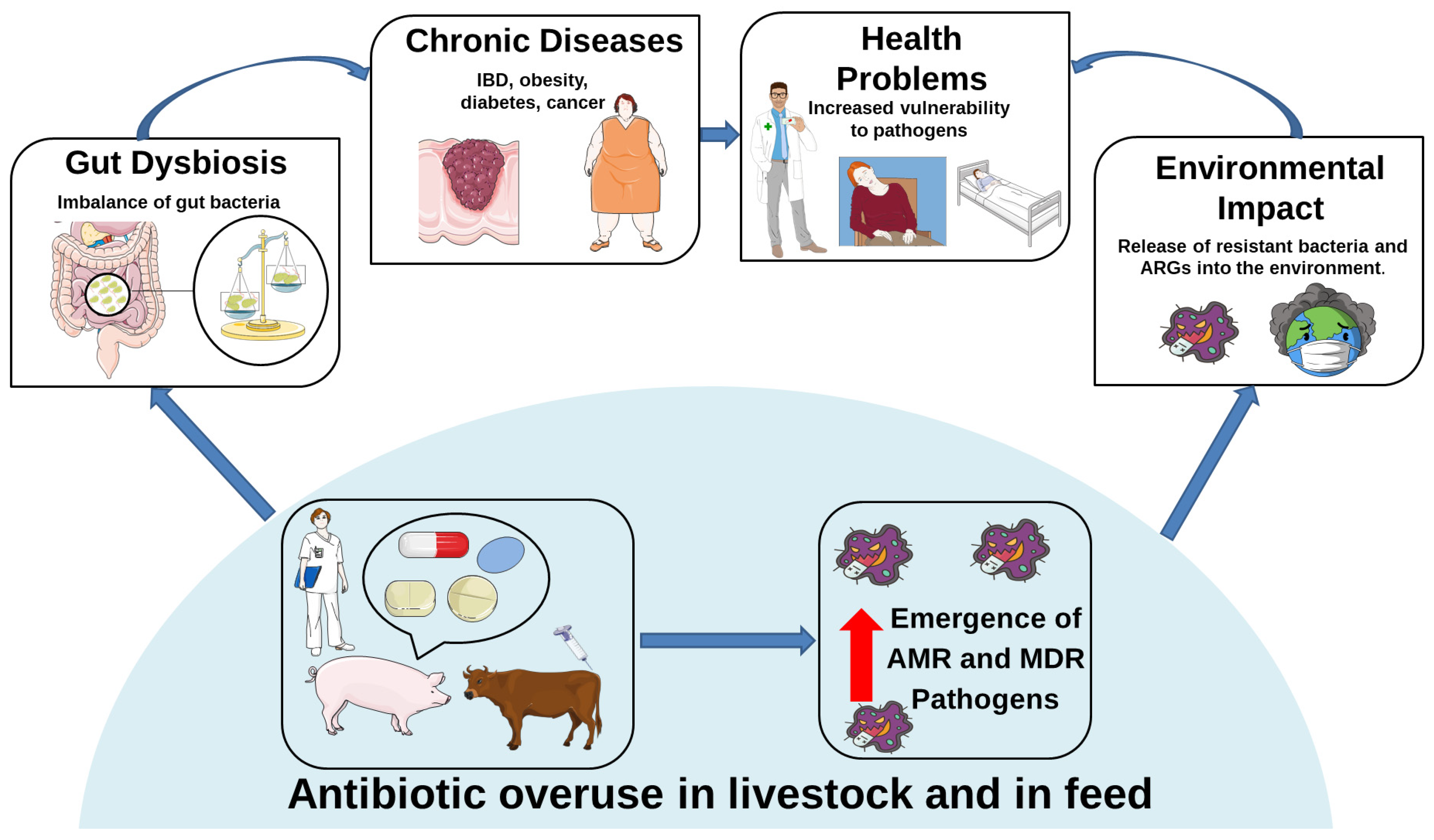 Antibiotics 14 00608 g002 Antibiotics 14 00608 g002