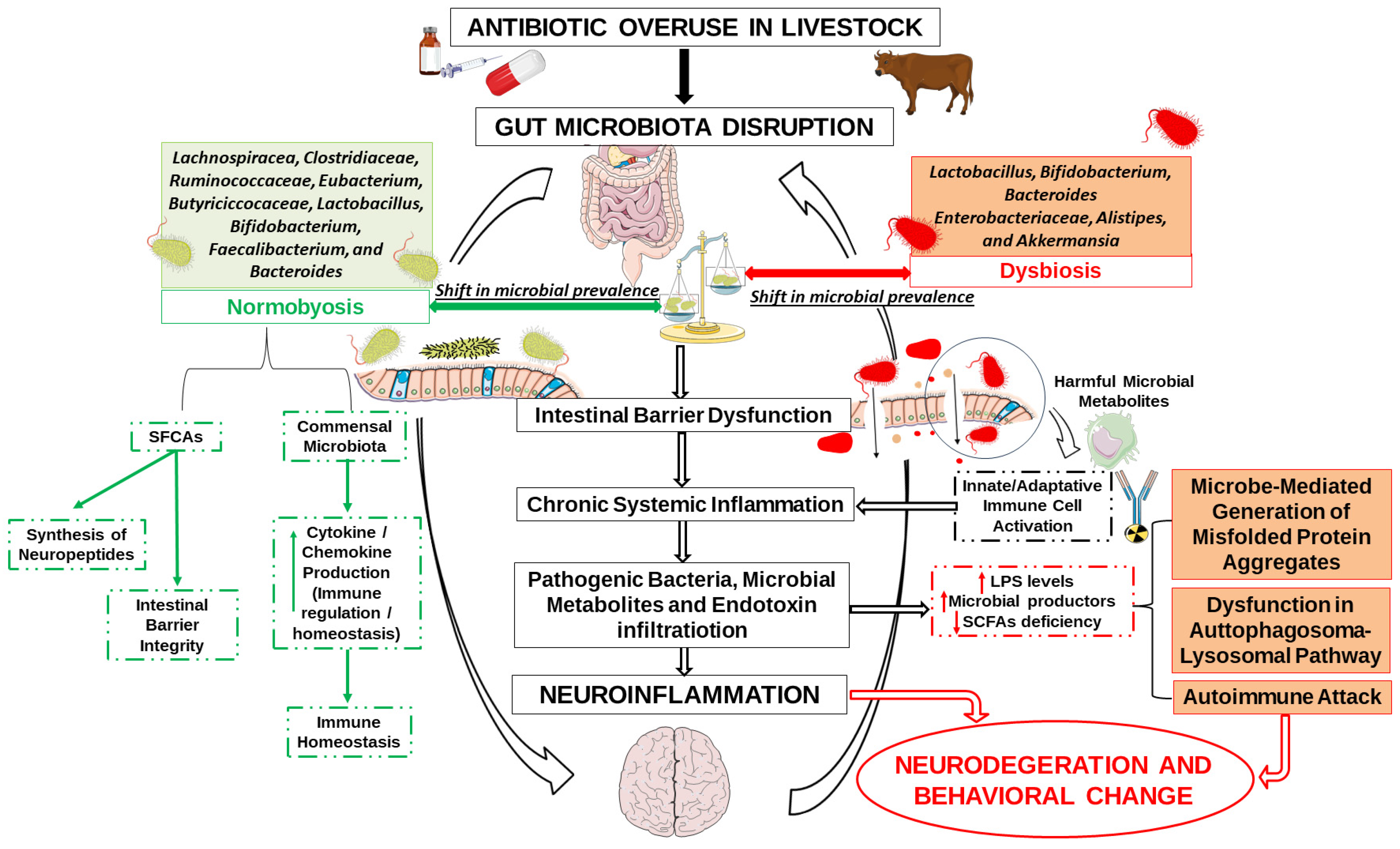 Antibiotics 14 00608 g004 Antibiotics 14 00608 g004