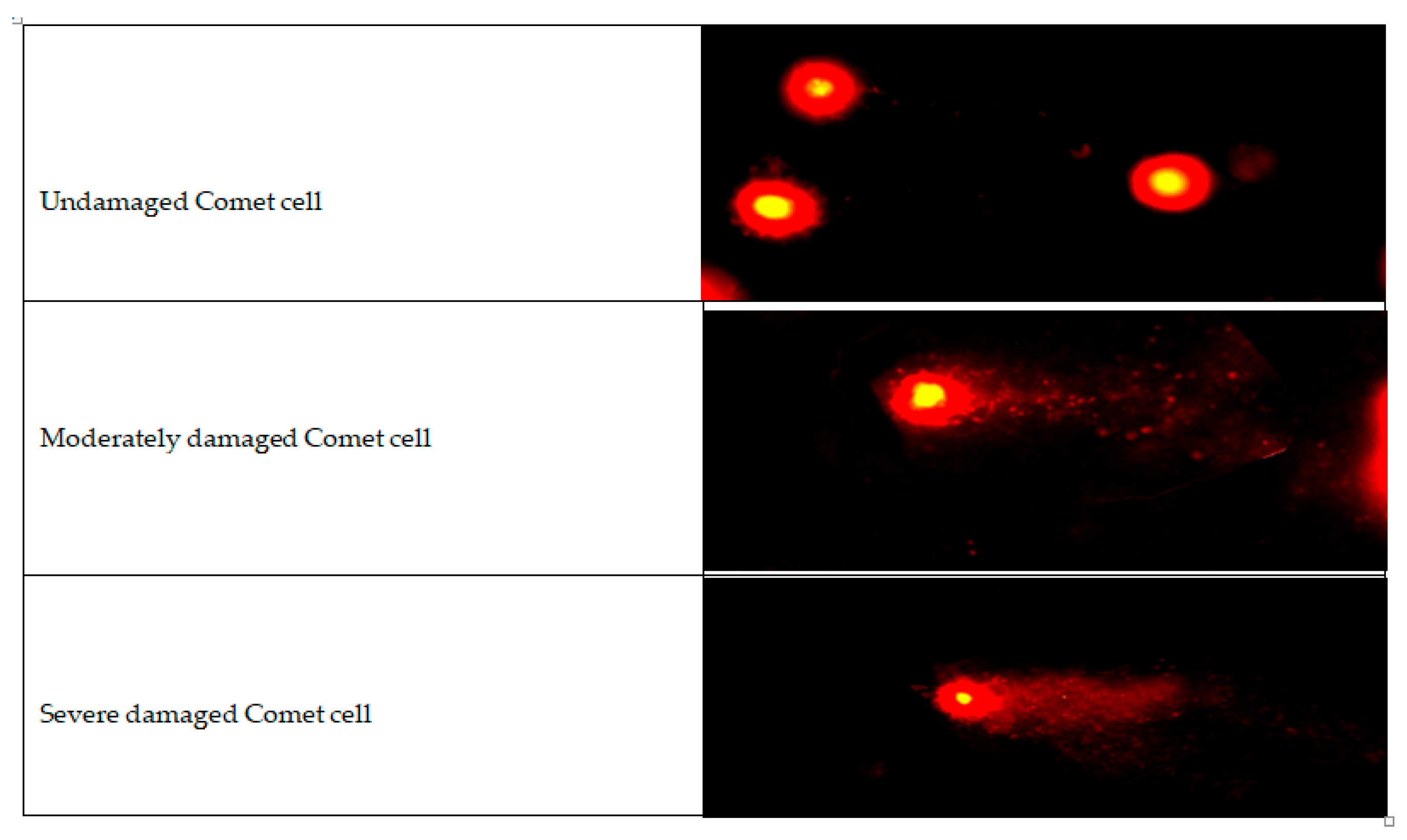 Antibiotics 14 00611 g002
