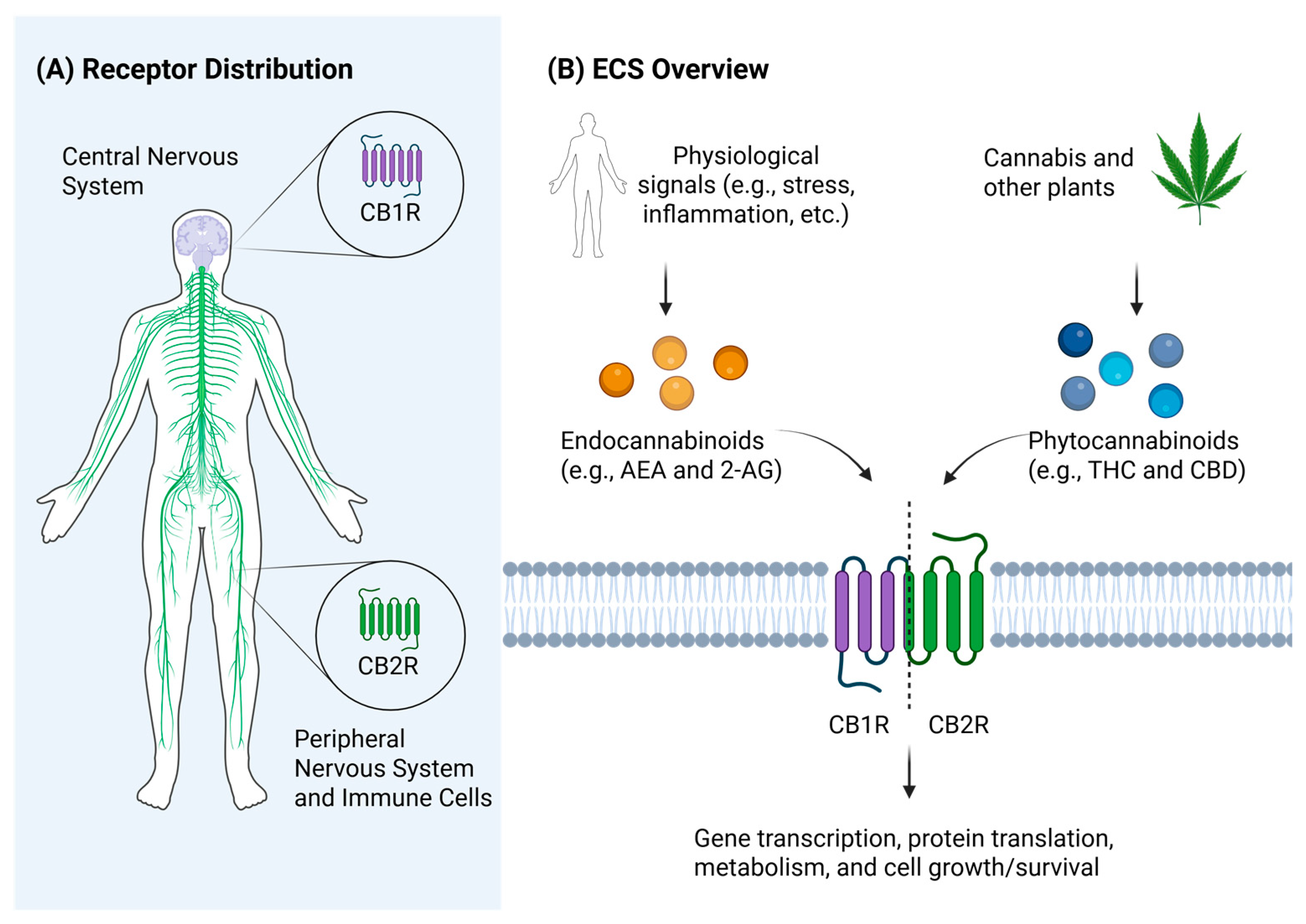 Antibiotics 14 00614 g002