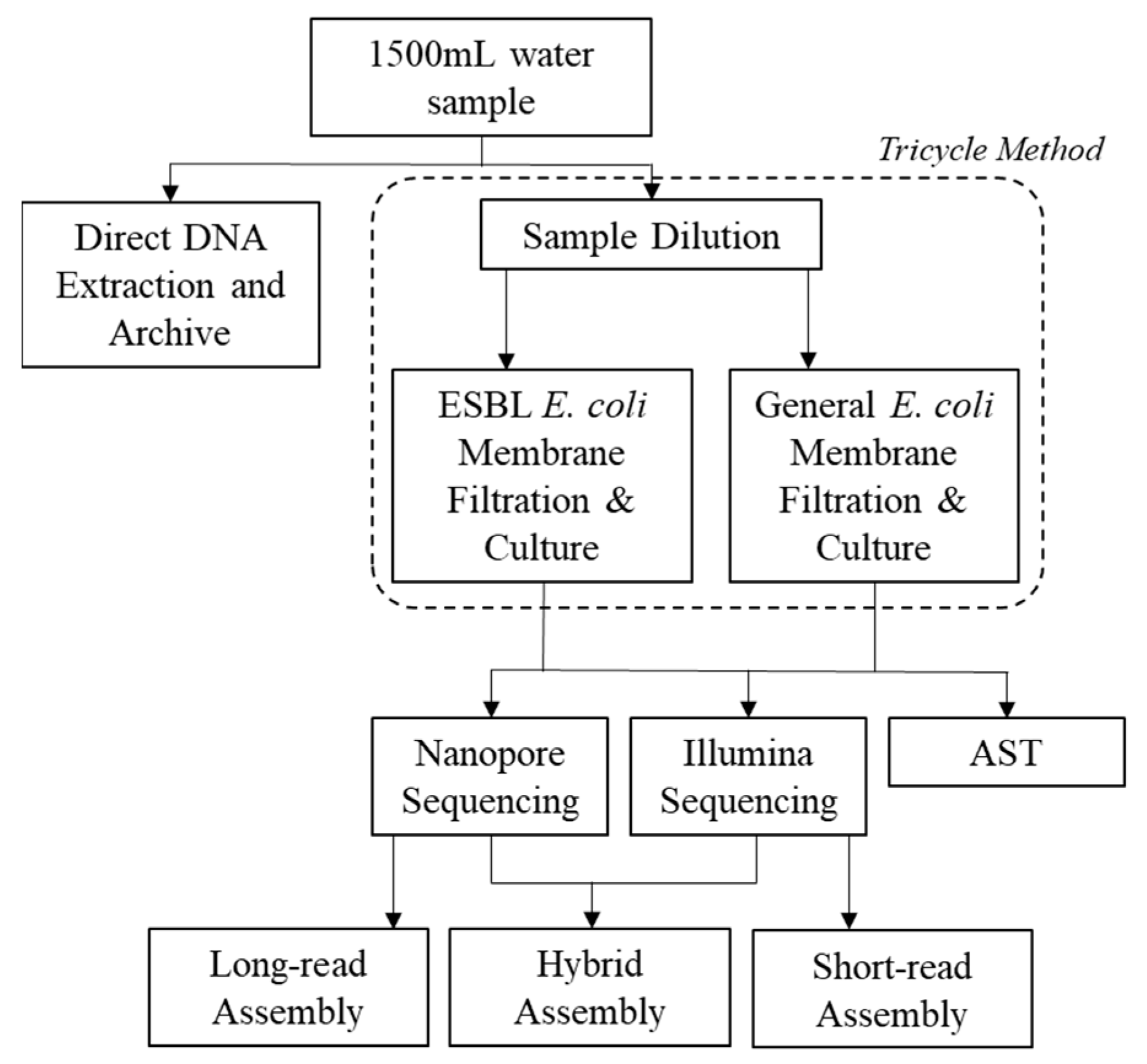 Antibiotics 14 00624 g007