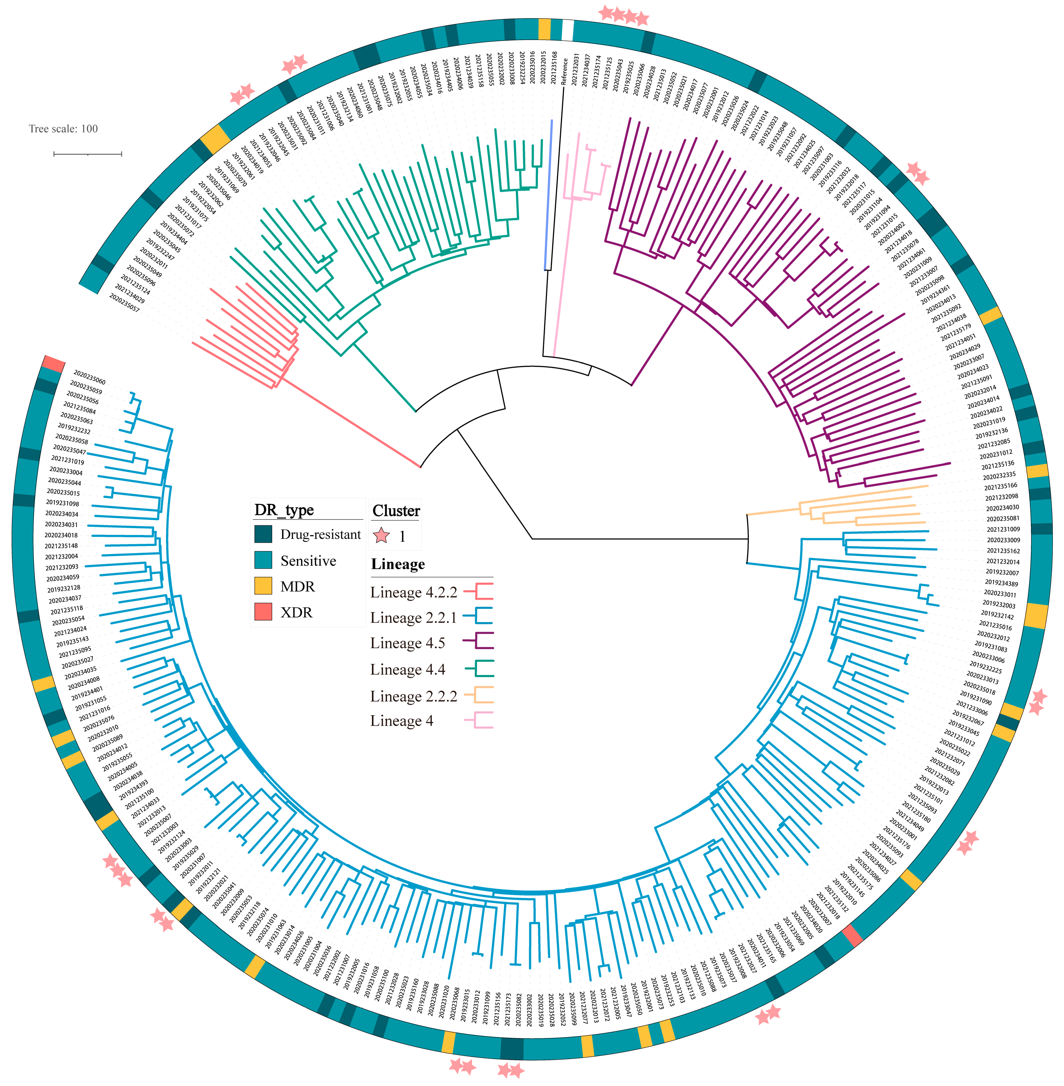 Antibiotics 14 00625 g001