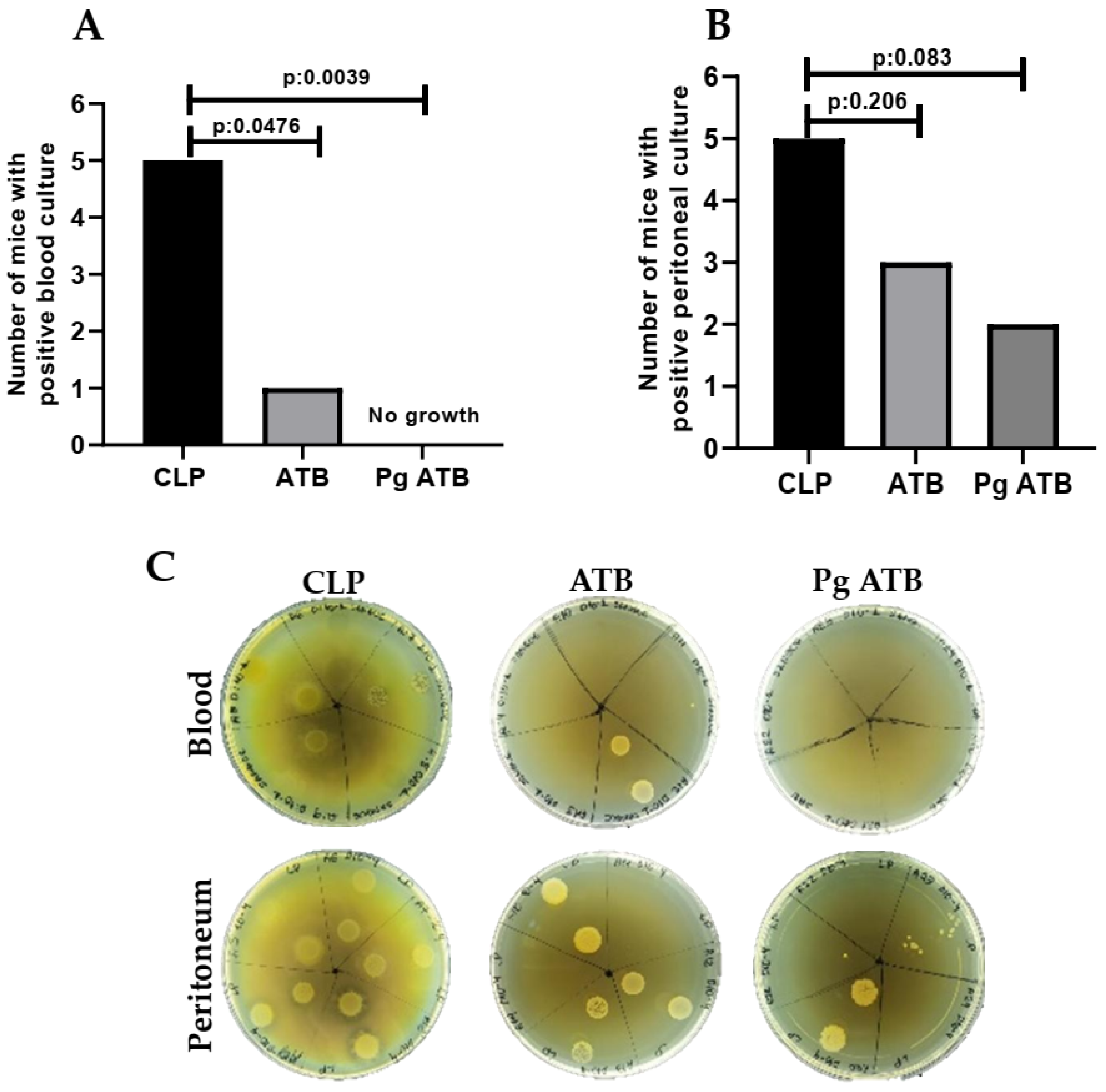 Antibiotics 14 00626 g002