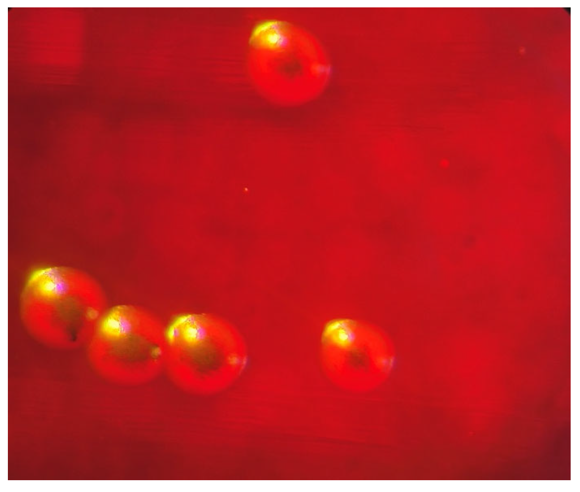 Antibiotics 14 00627 g001