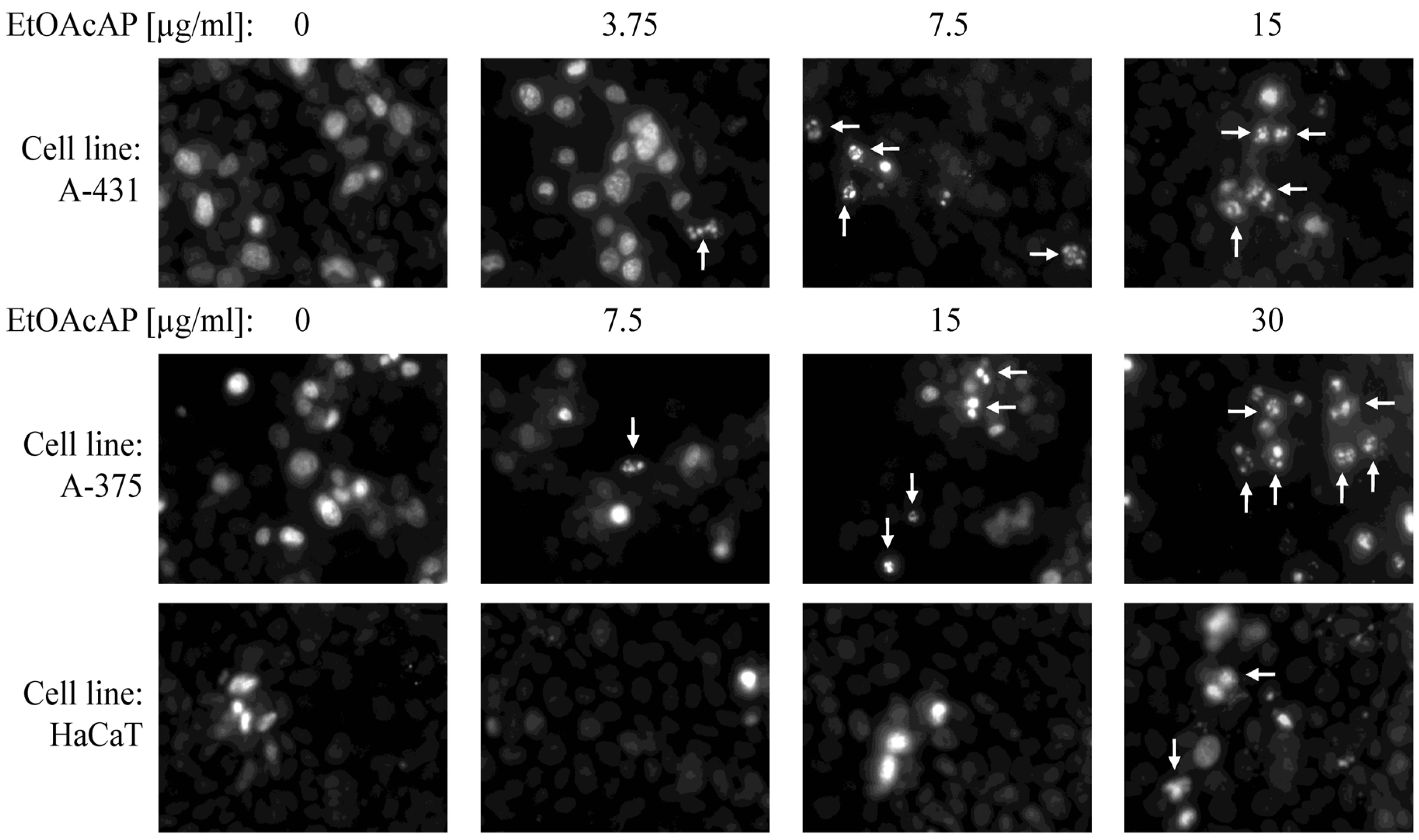 Antibiotics 14 00627 g008