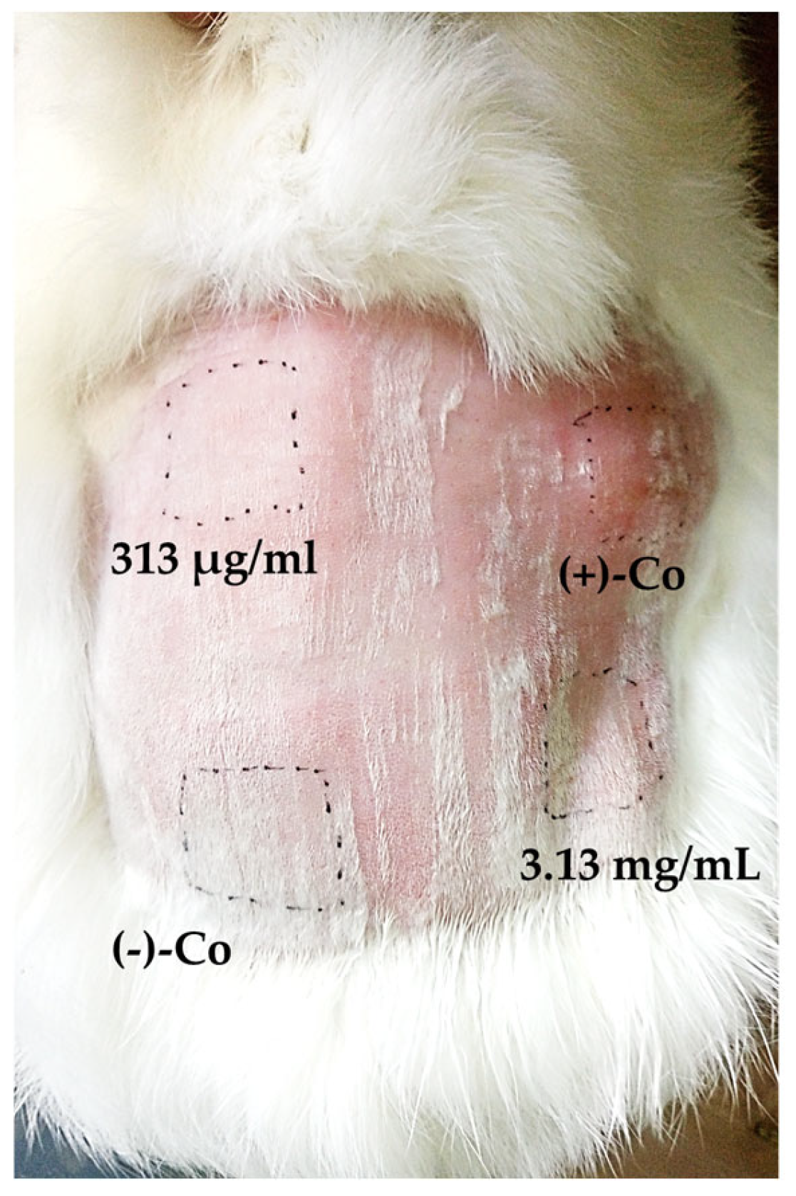 Antibiotics 14 00627 g009