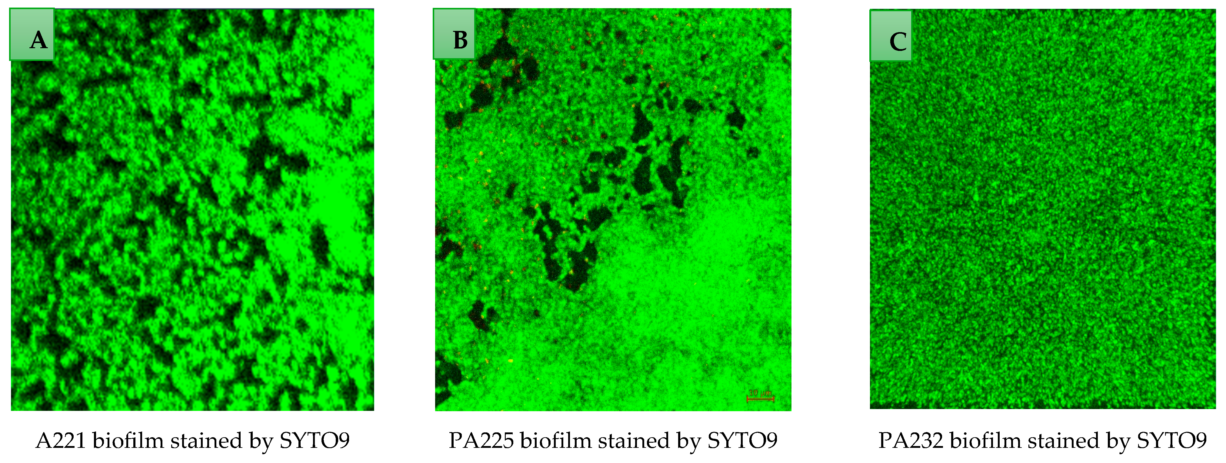 Antibiotics 14 00629 g001