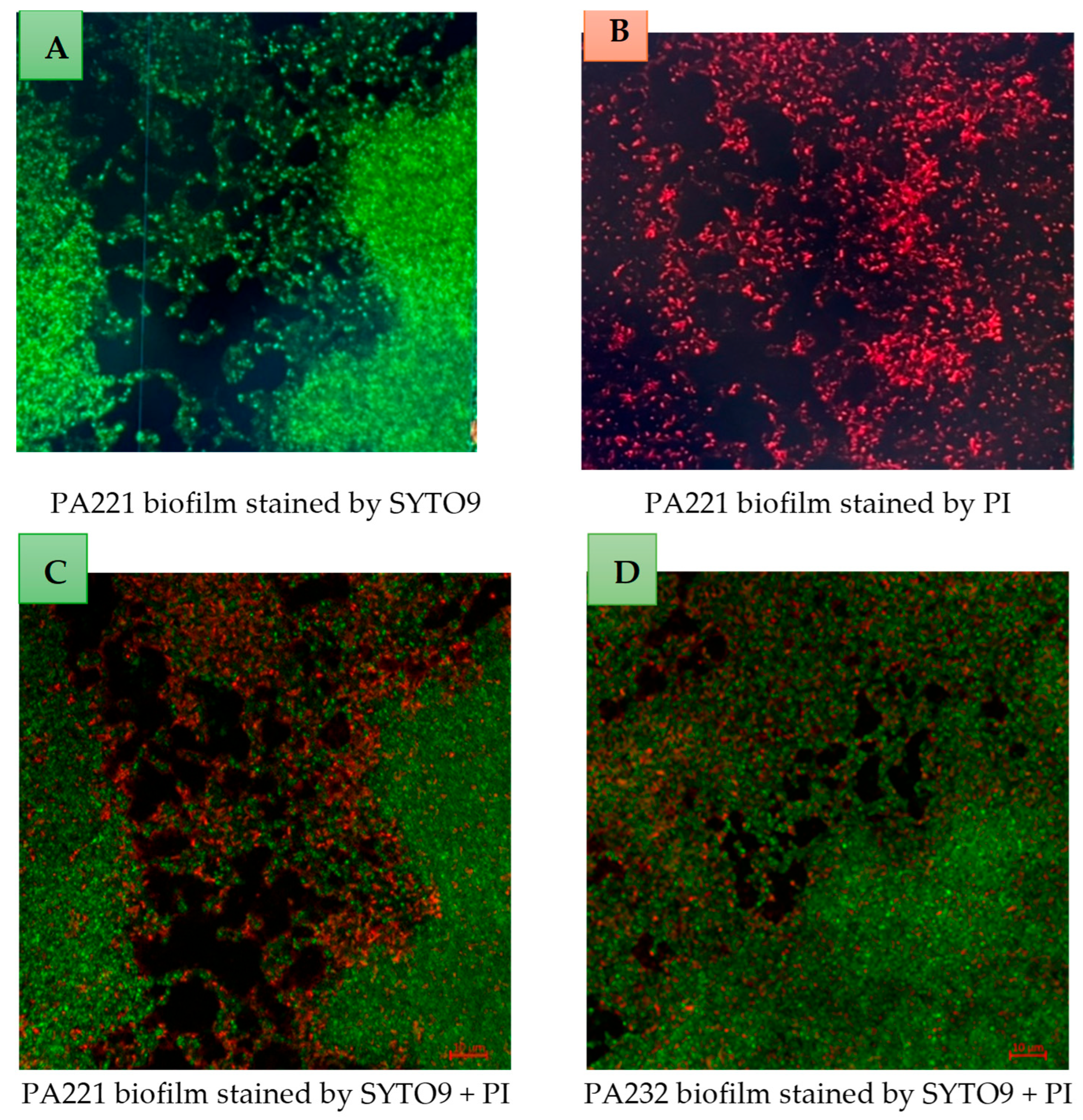 Antibiotics 14 00629 g006
