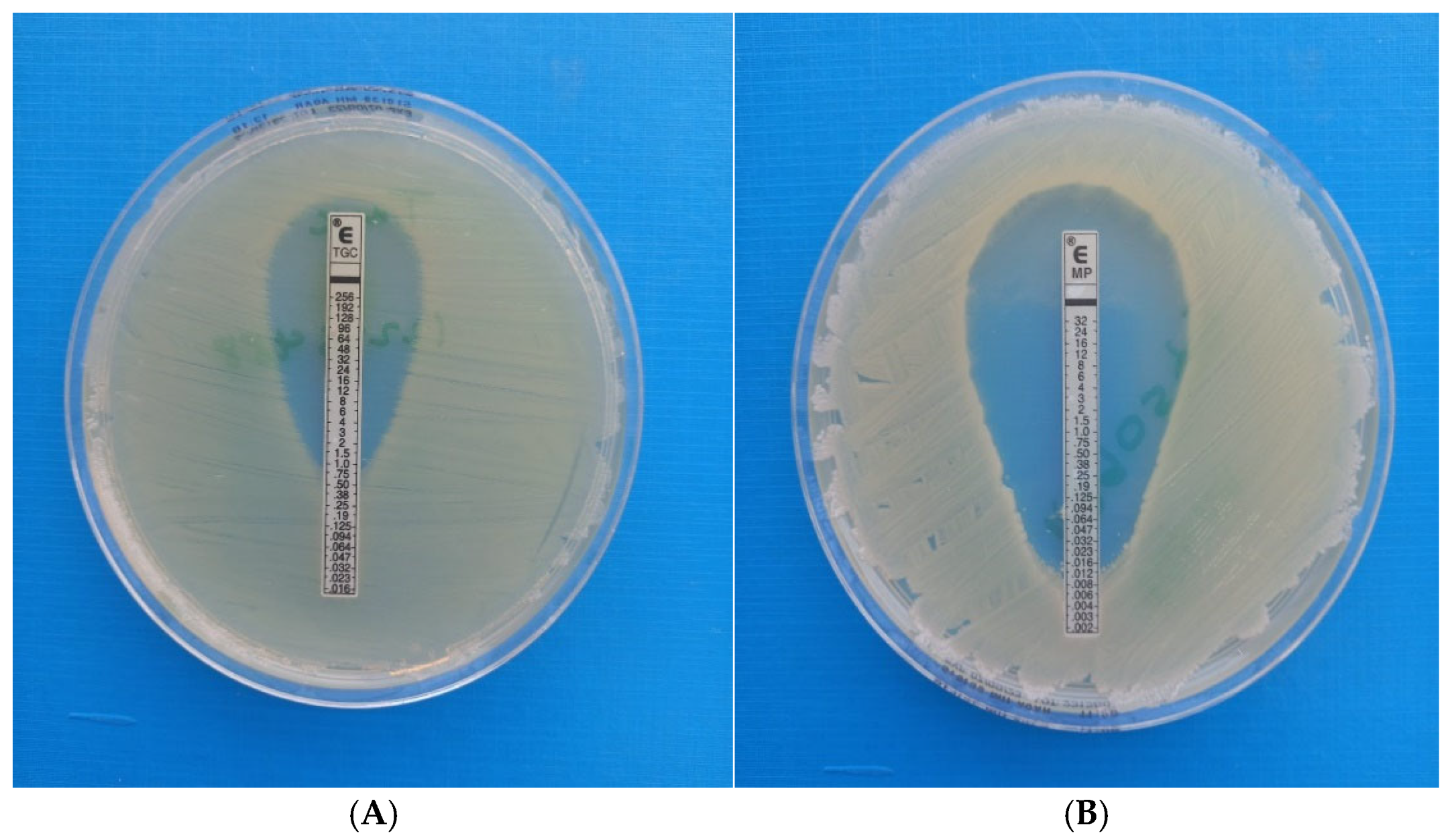 Antibiotics 14 00630 g003