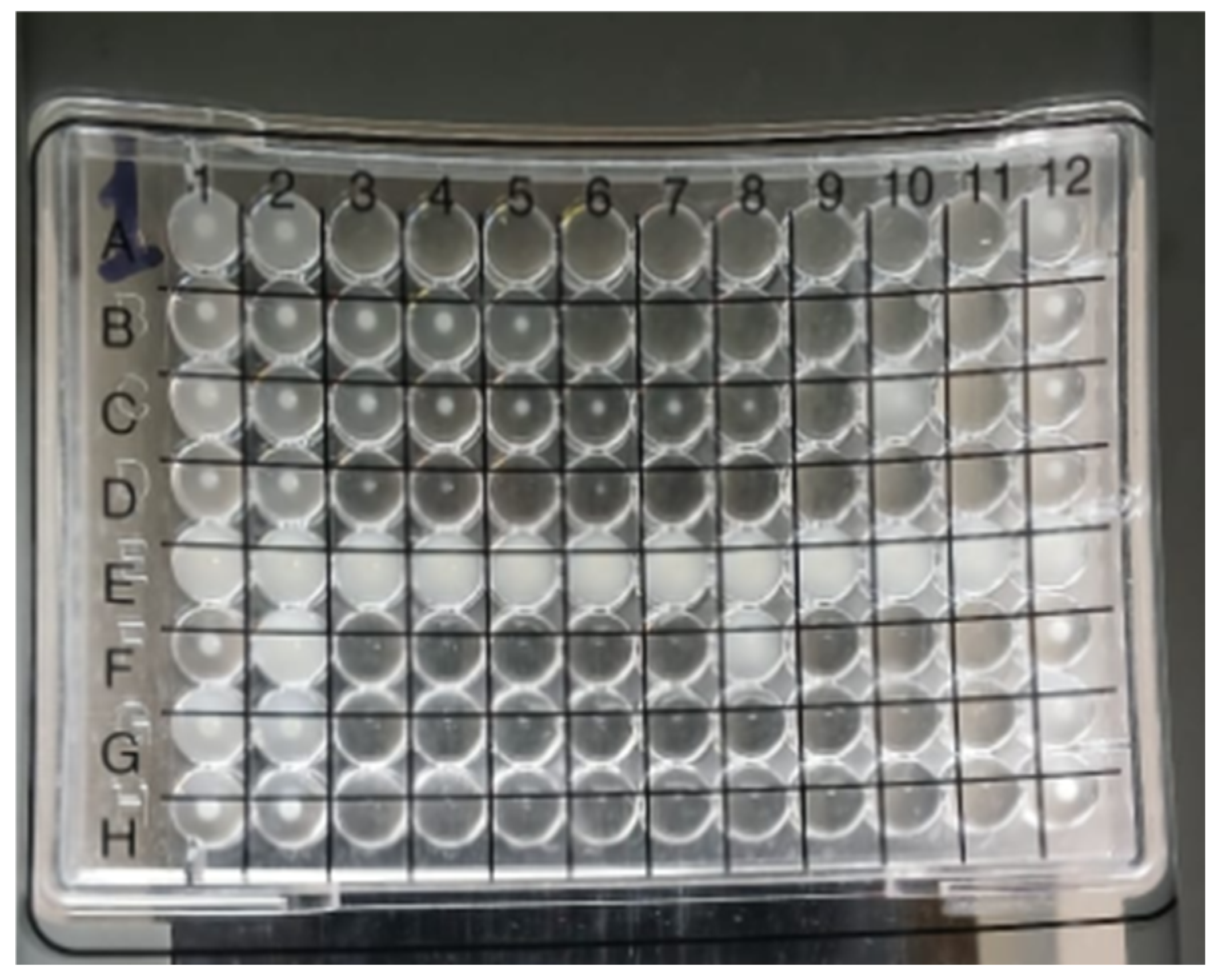 Antibiotics 14 00630 g004