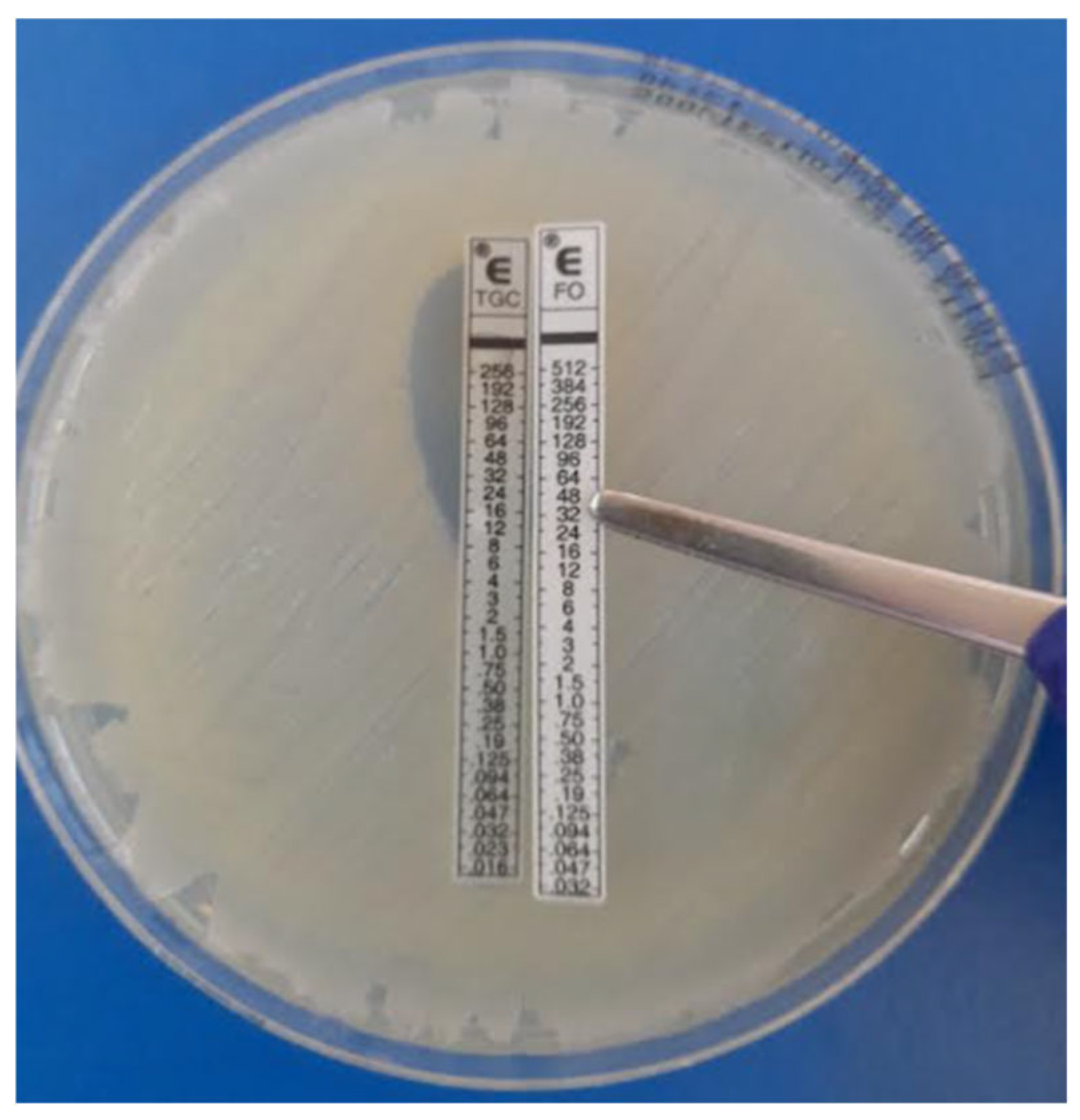 Antibiotics 14 00630 g005
