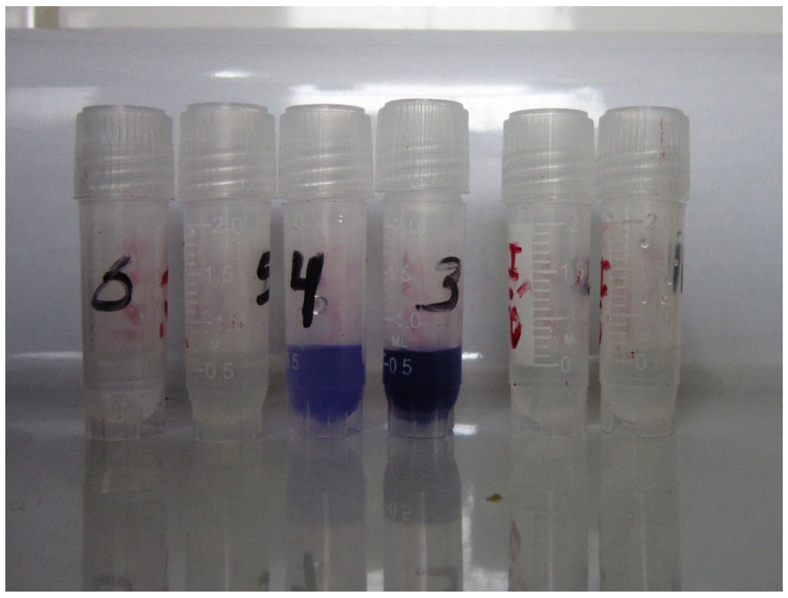 Antibiotics 14 00636 g0a2