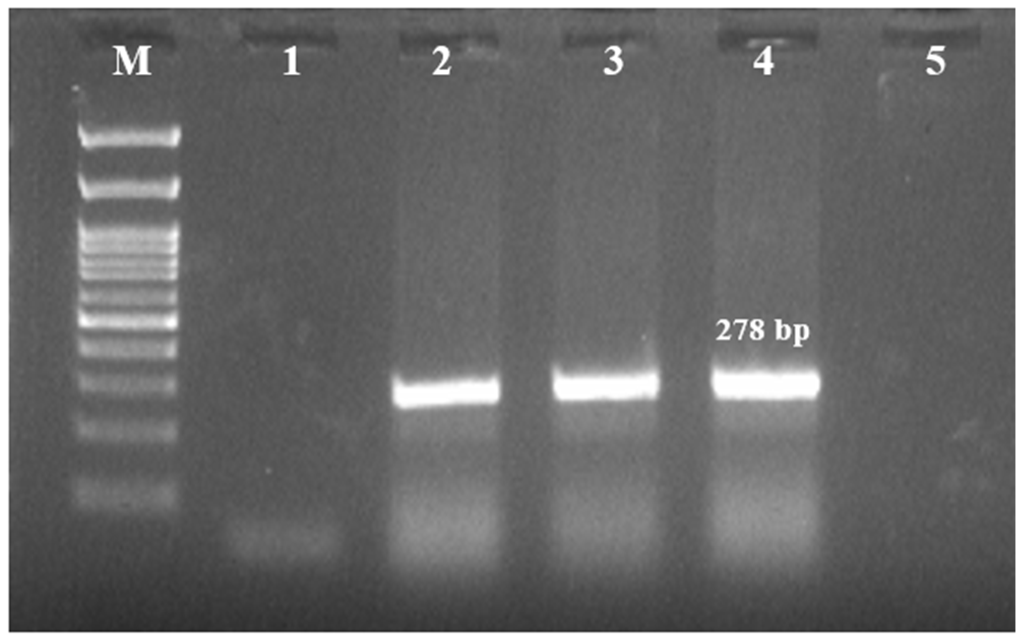 Antibiotics 14 00639 g001