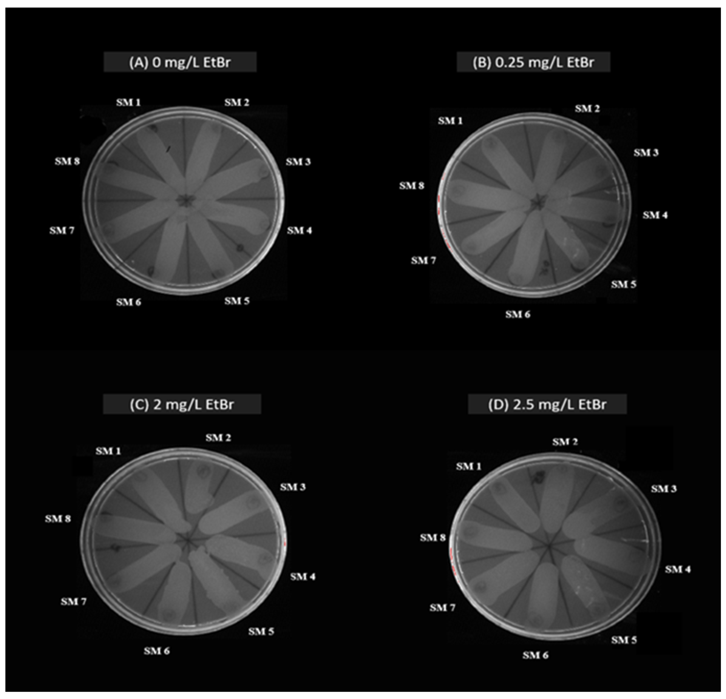 Antibiotics 14 00639 g003