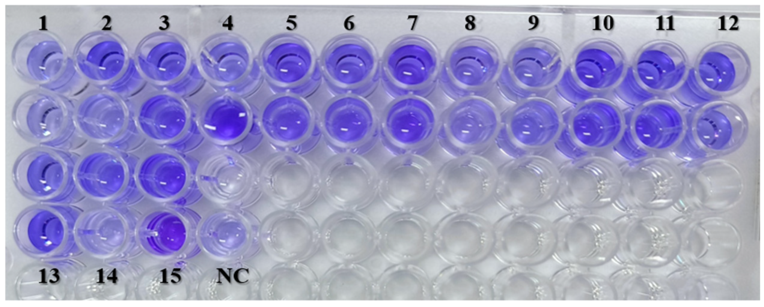 Antibiotics 14 00639 g004
